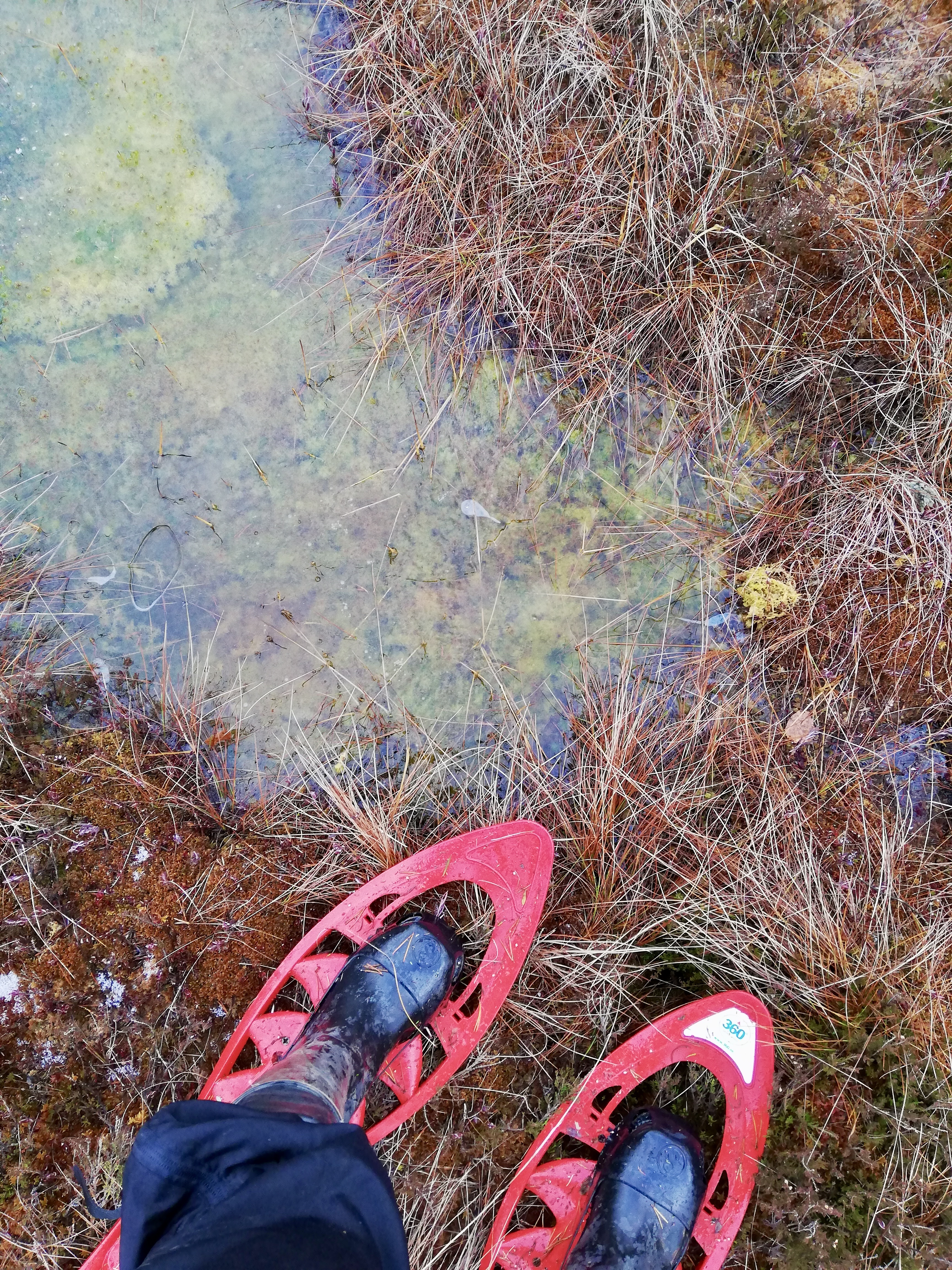 Räätsamatk Marimetsa rabas