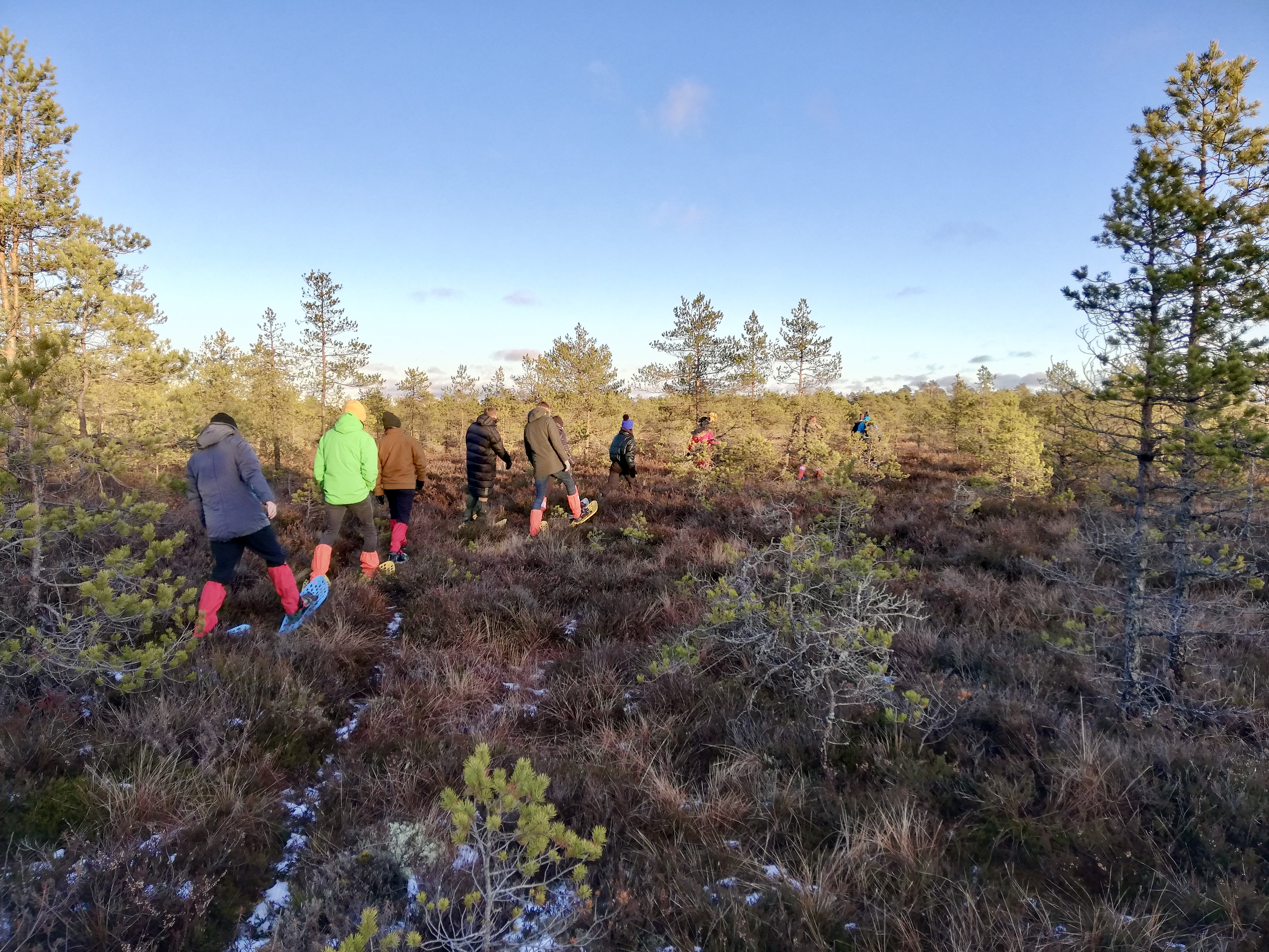 Räätsamatk Marimetsa rabas