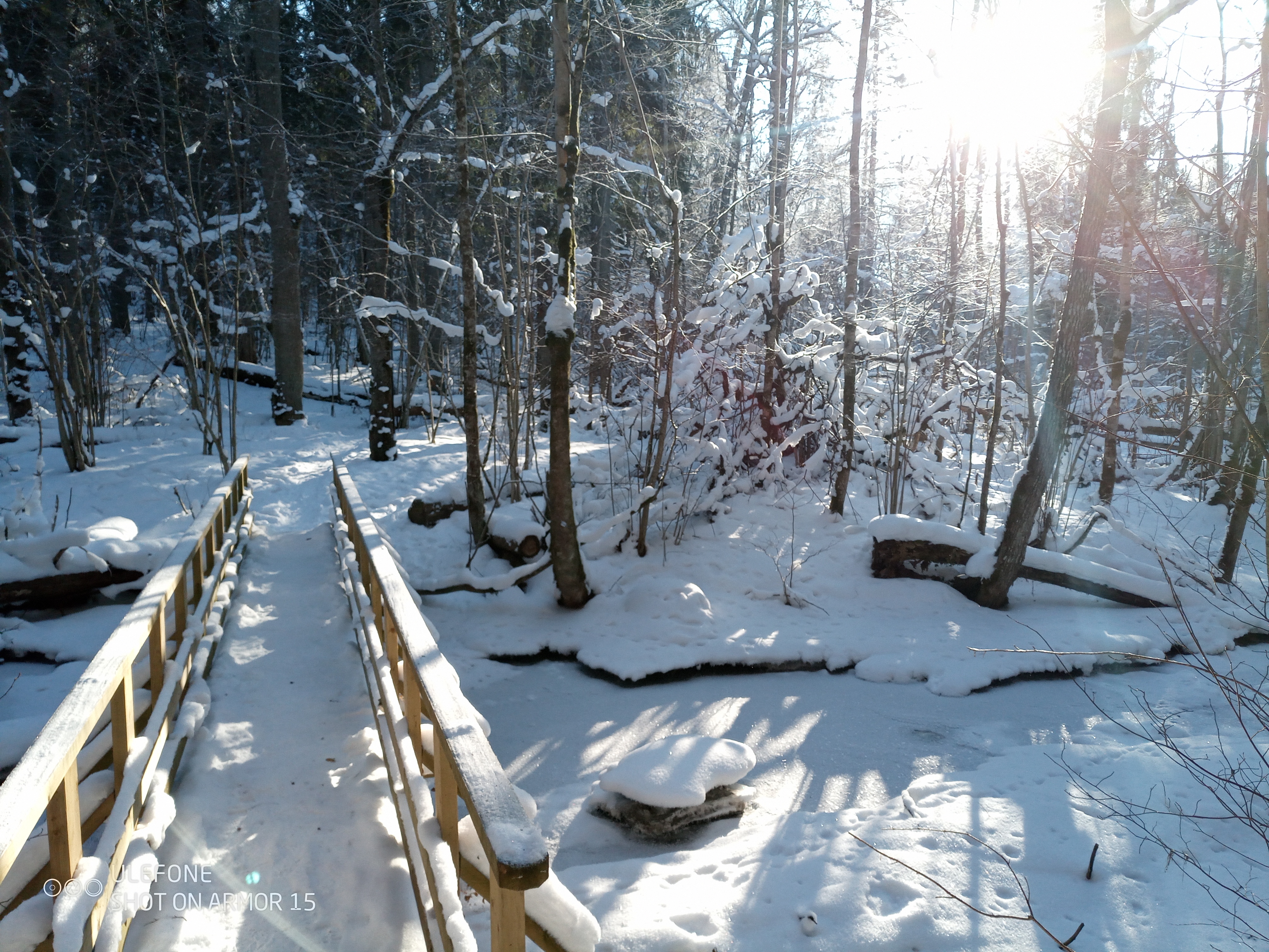 Talvine Õisu matkarada