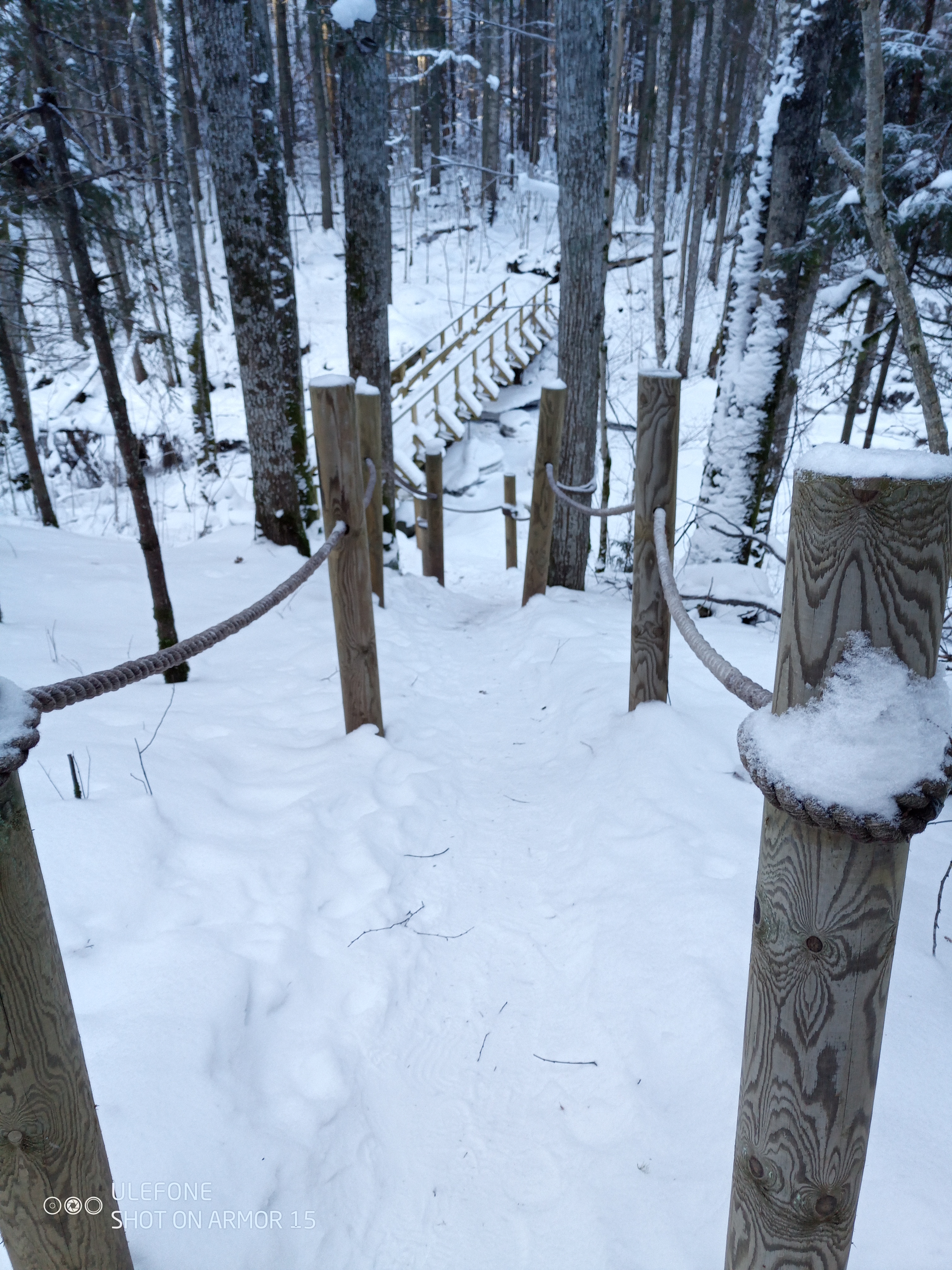 Talvine Õisu matkarada