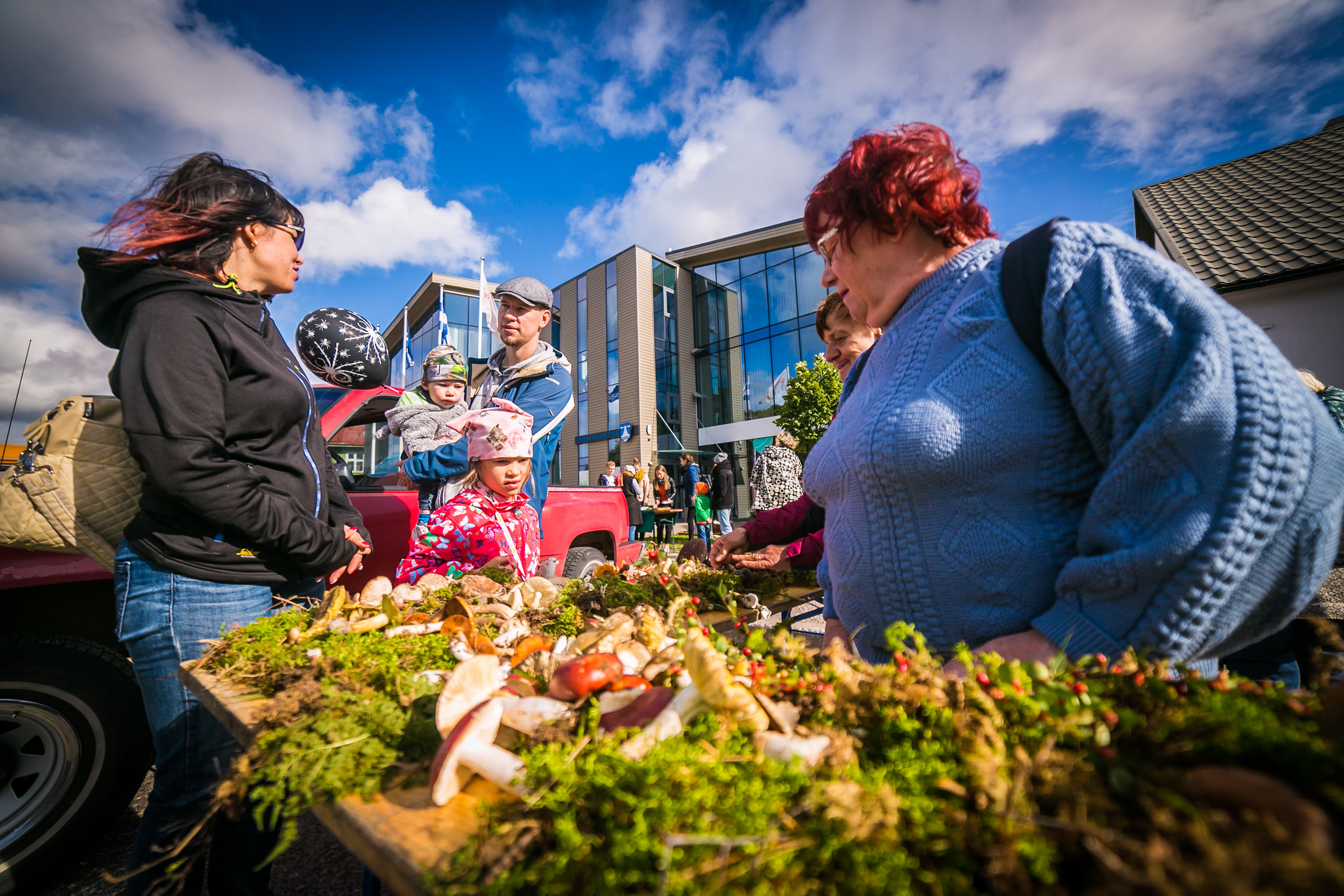 Hiidlaste sügislaat