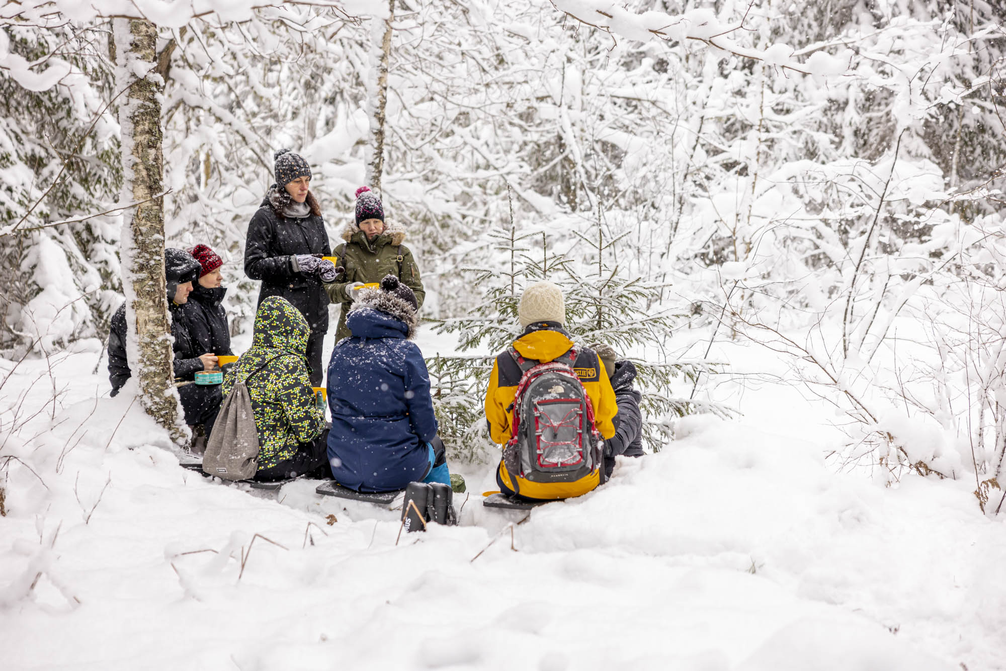 Eine Gruppe lernt Überlebensfähigkeiten im verschneiten Wald.