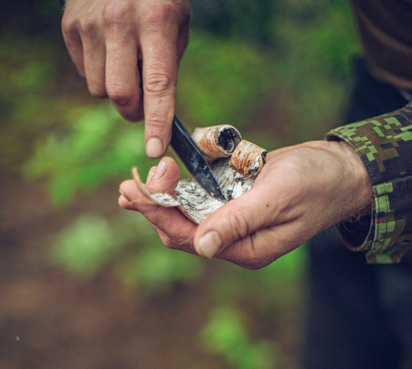 Ausbilder zeigt, wie man Birkenrinde zum Feuermachen sammelt.