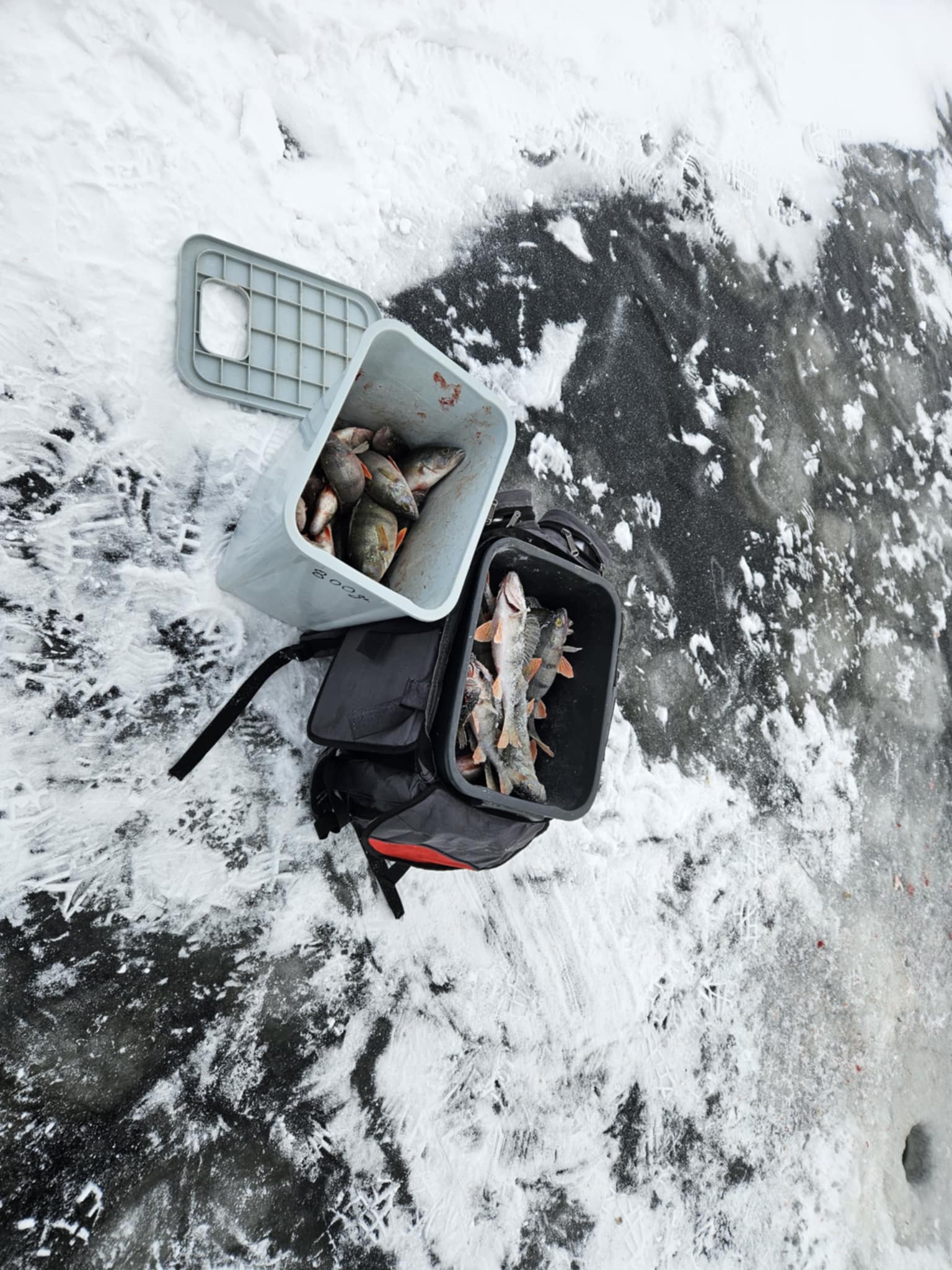 Talvine kalapüük Peipsi järvel