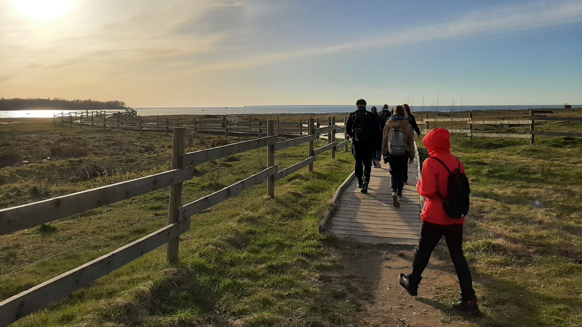 Linnuvaatlus Põhja-Eestis Paljassaare poolsaarel