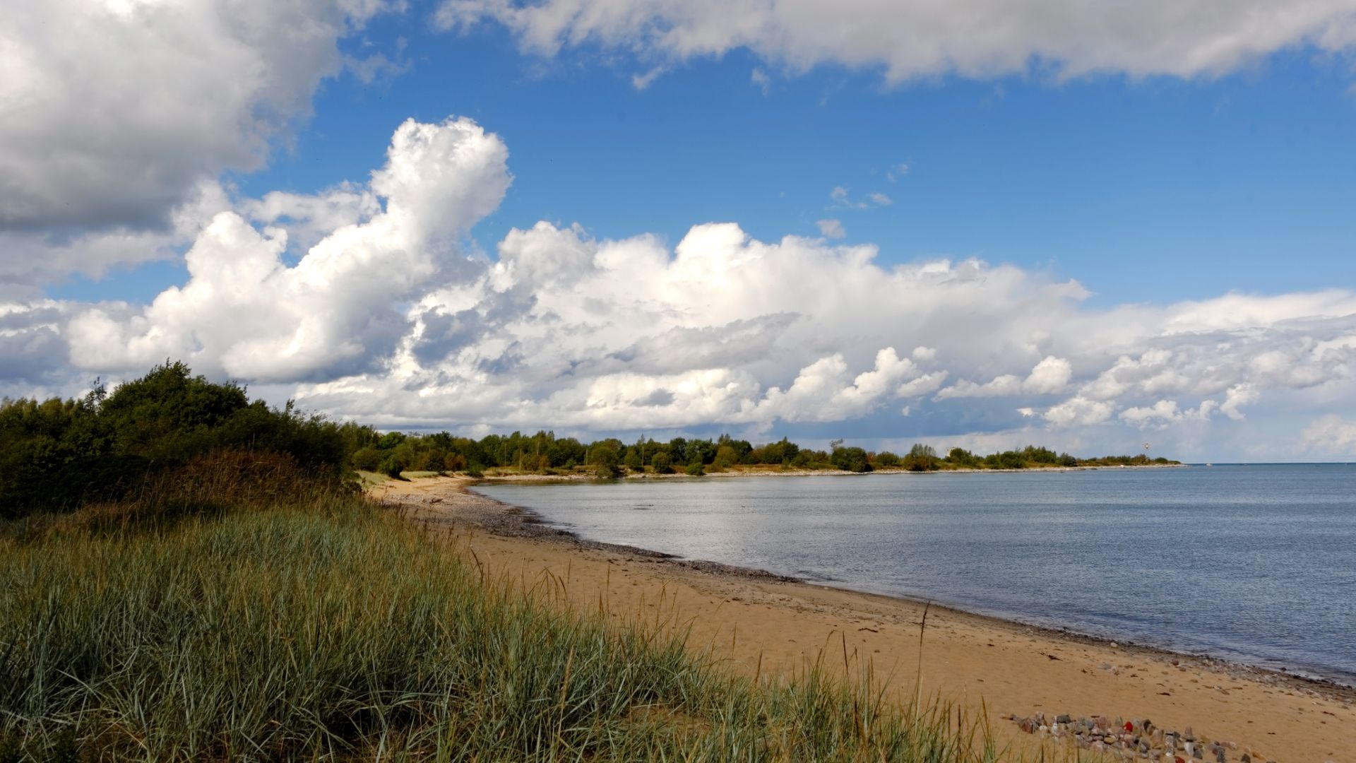 Liivarand Põhja-Eestis Paljassaares