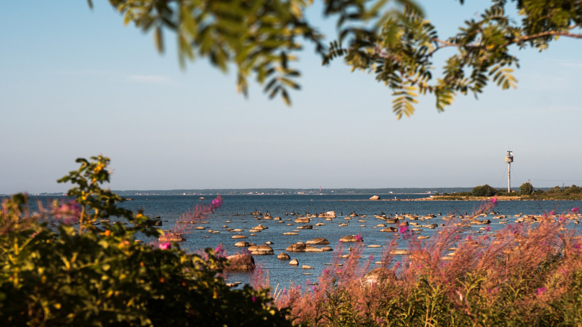Vaade merele Paljassaare poolsaarelt