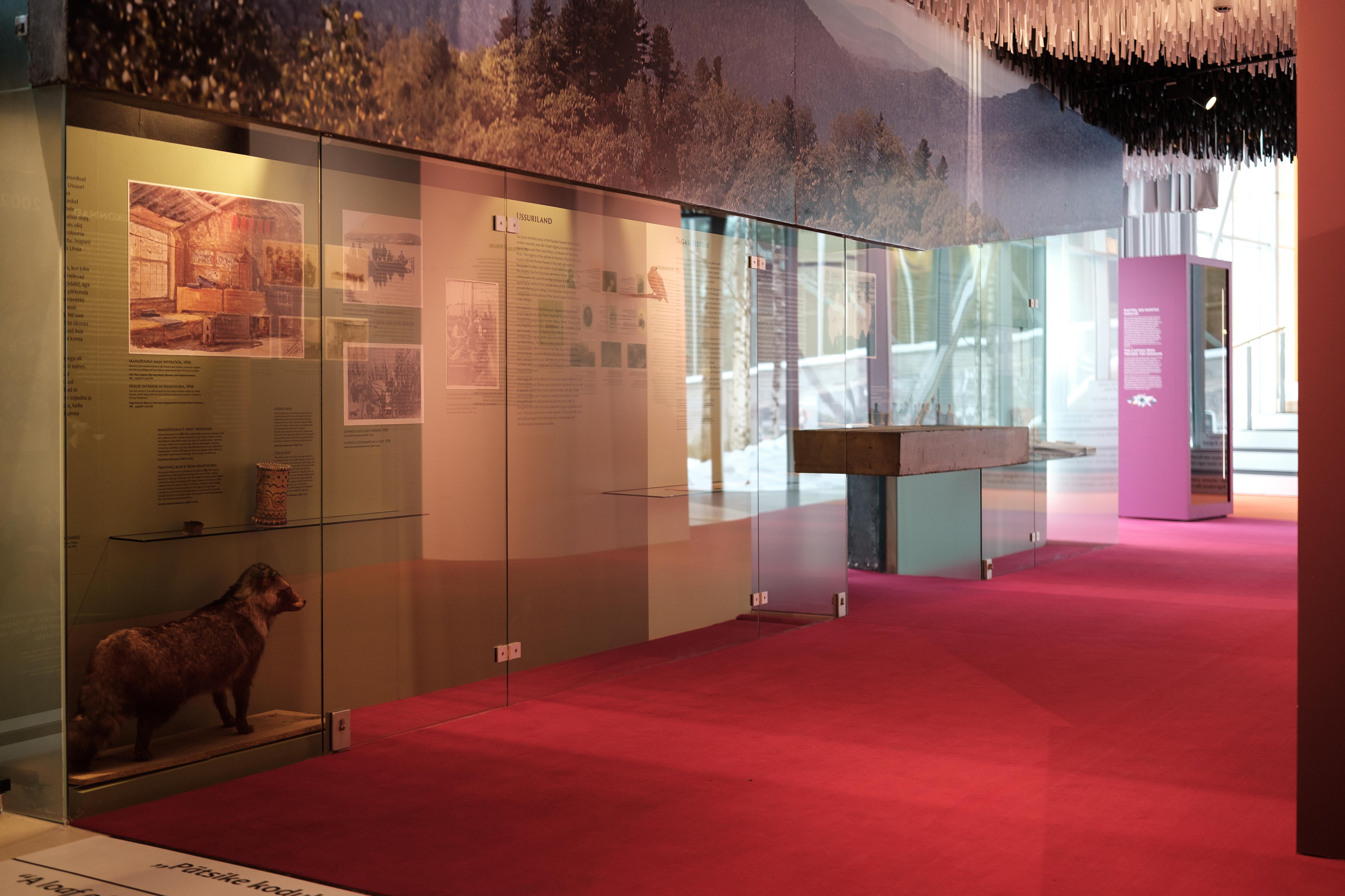 Vabamu uus näitus "Ilmaküla eestlased"