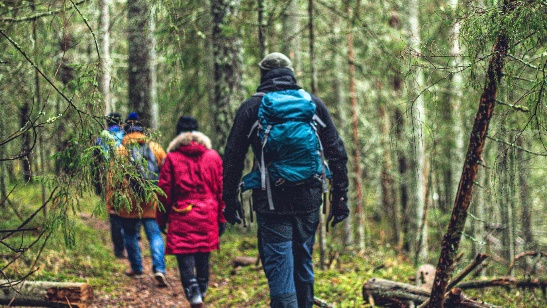Wanderer in einem alten Wald