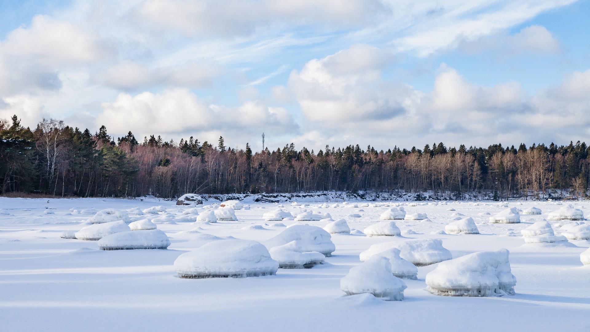 Gefrorene Küste mit verschneiten Felsen