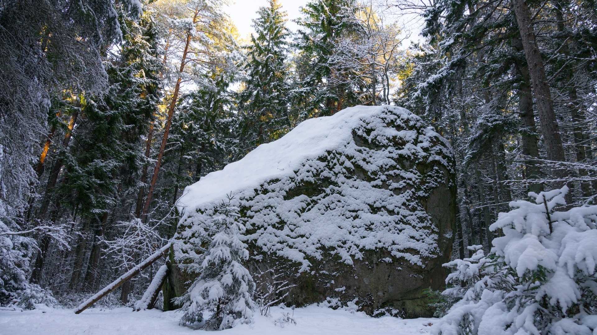 Schneebedeckter Findling im Winter