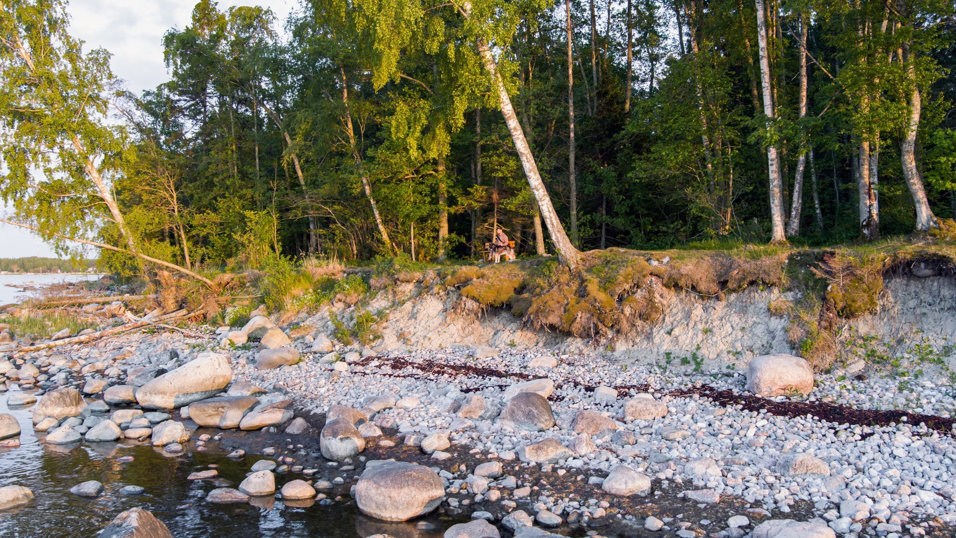 Felsige Küste bei Rohuneeme