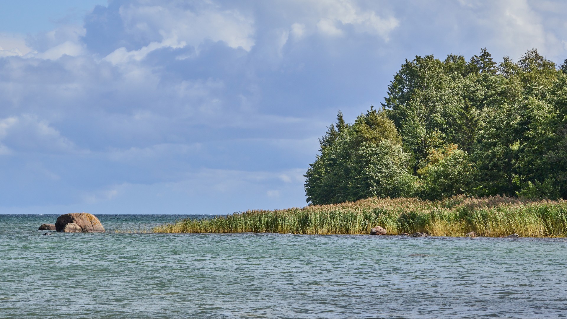 Blick auf das Schilf und das Meer