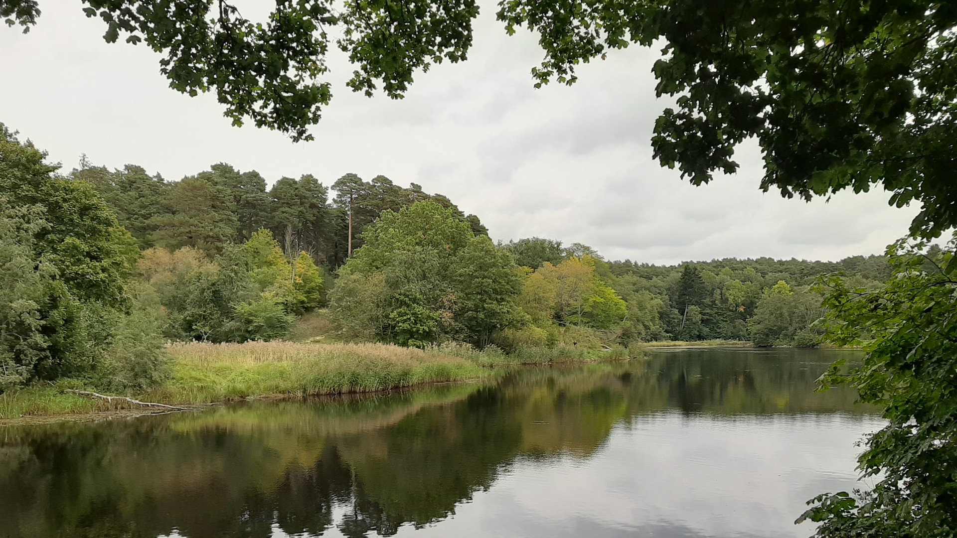 Suvine vaade Pirita jõele