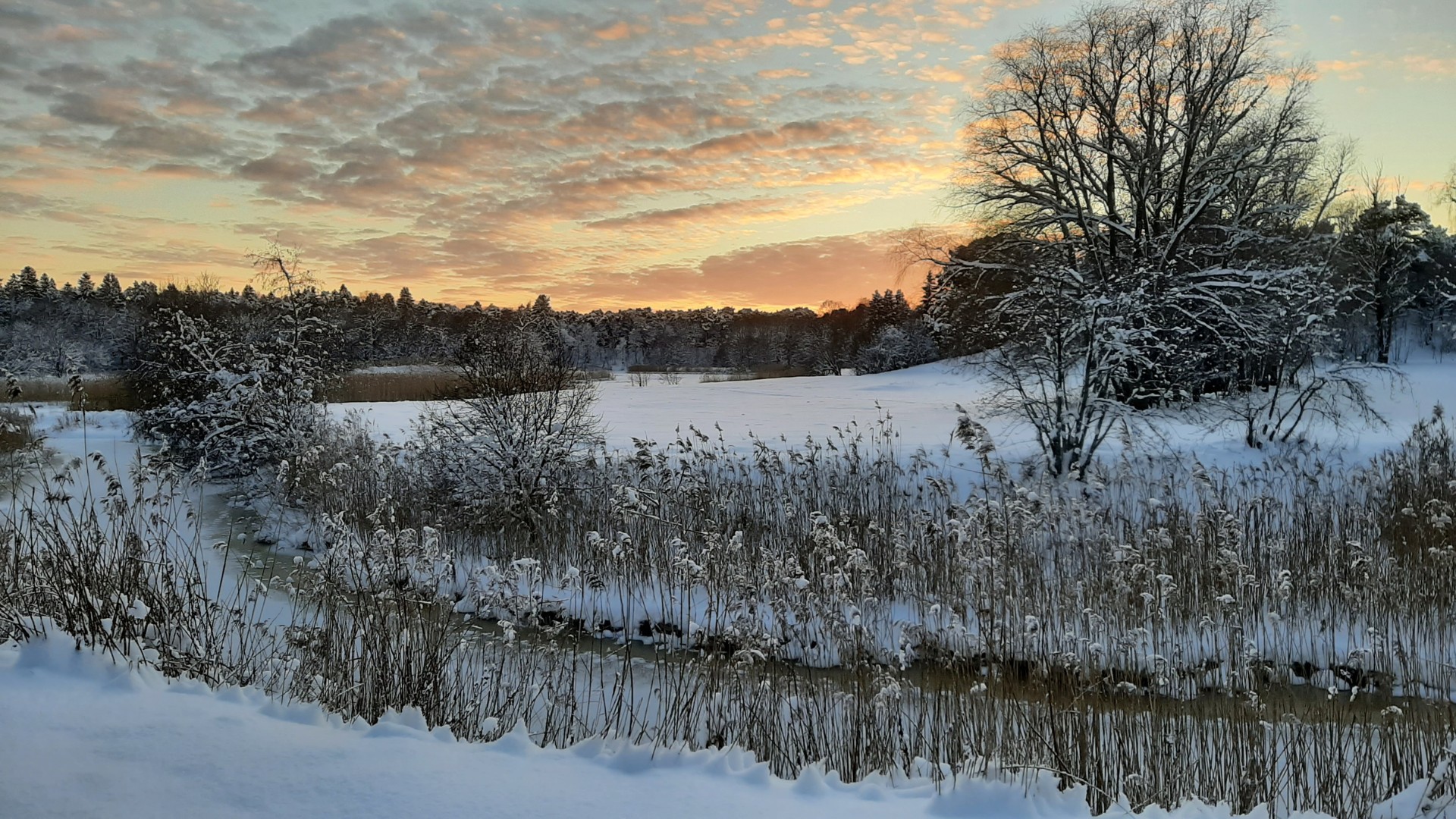Talvine Pirita jõgi värvilise taevaga
