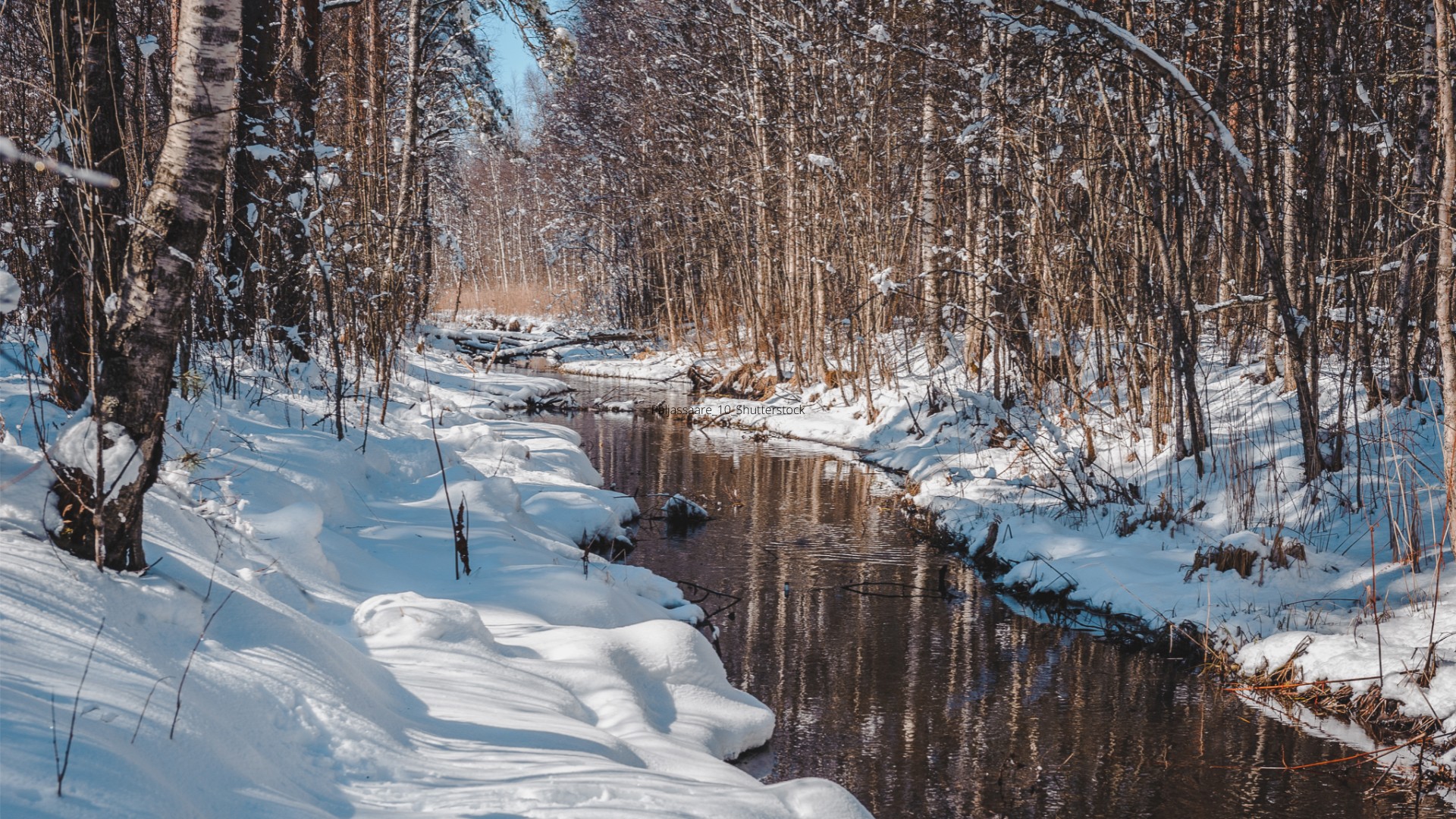 Lumine rabakraav lahtise veega