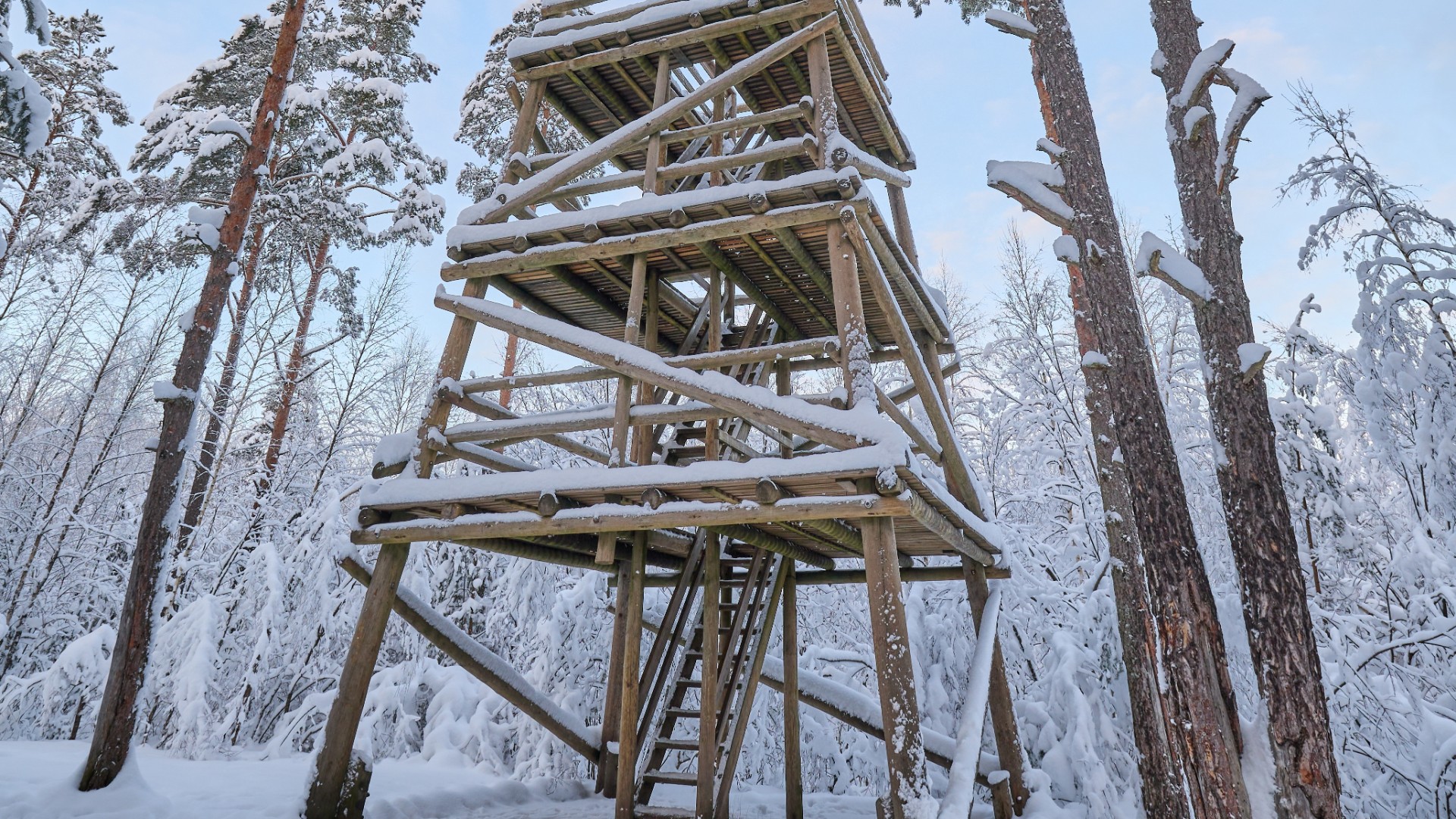 Lumine vaatetorn Pääsküla rabas