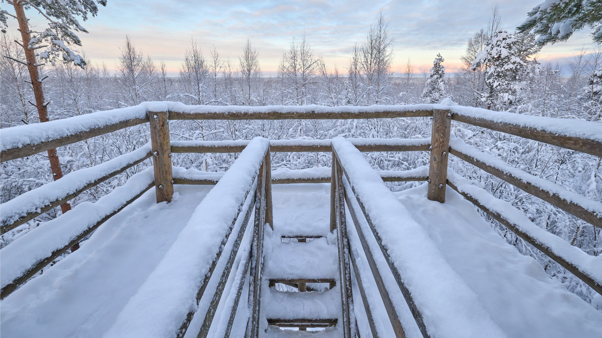 Lumine vaade Pääsküla raba tornist