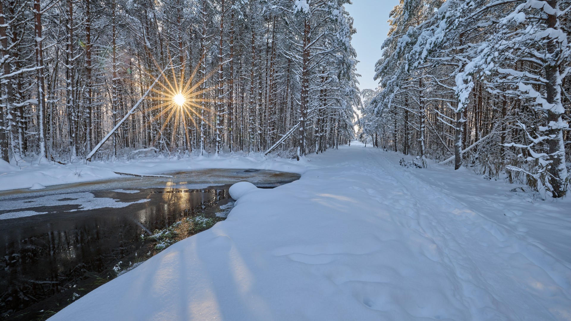 Lumine maastik rabametsa ja lahtise veega kraaviga
