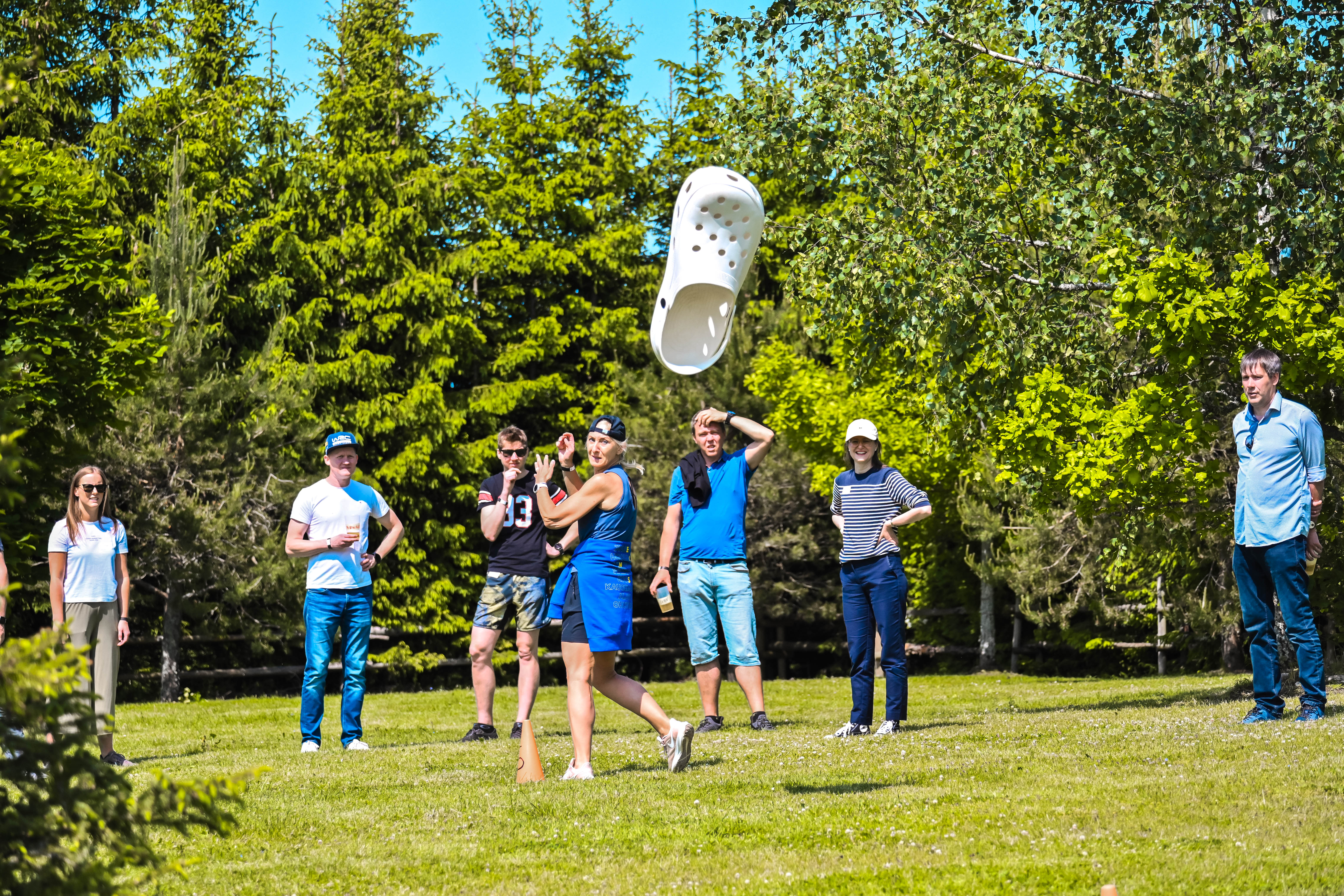 Elamusmängud meeskonnamängudena