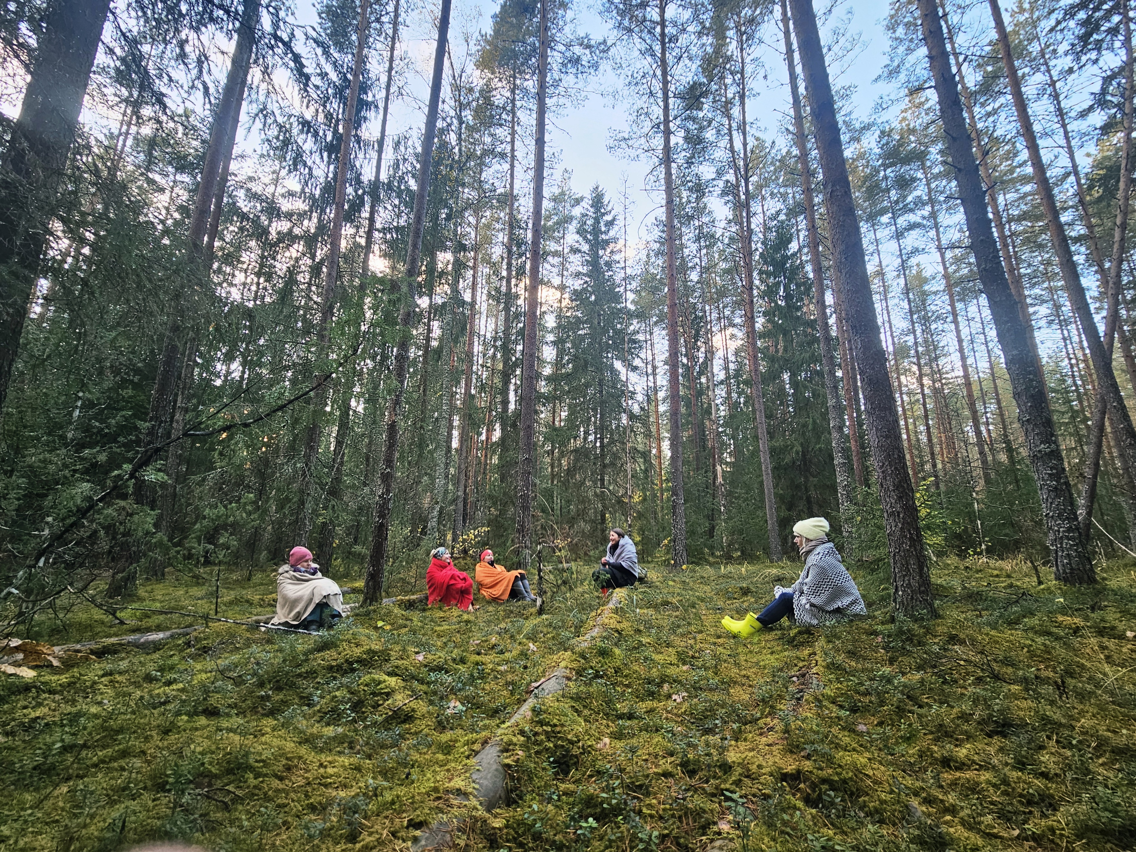 Waldbaden im Illi-Wald