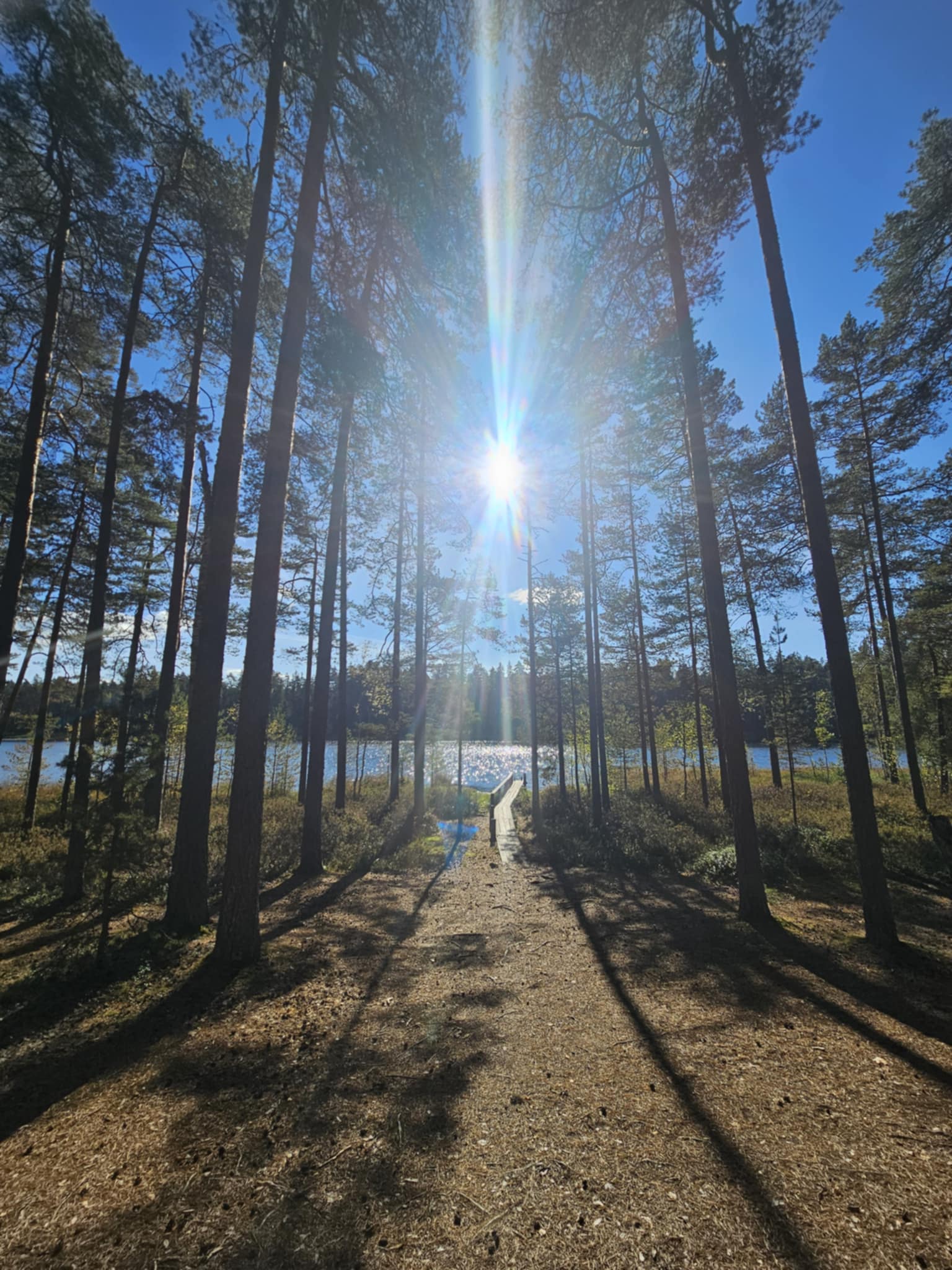 Palojärv-See im Landkreis Põlva