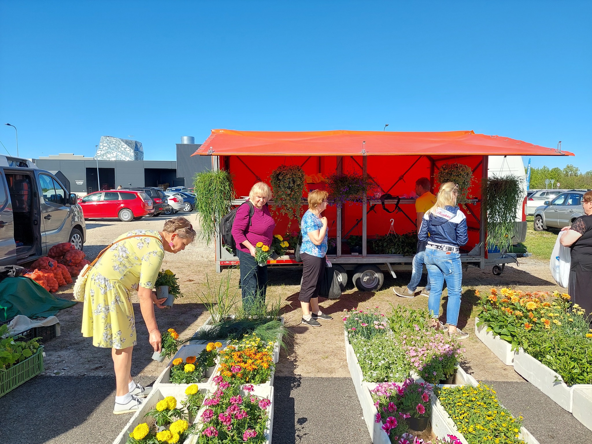 Taime müügi lett Hiidlaste kevadlaadal