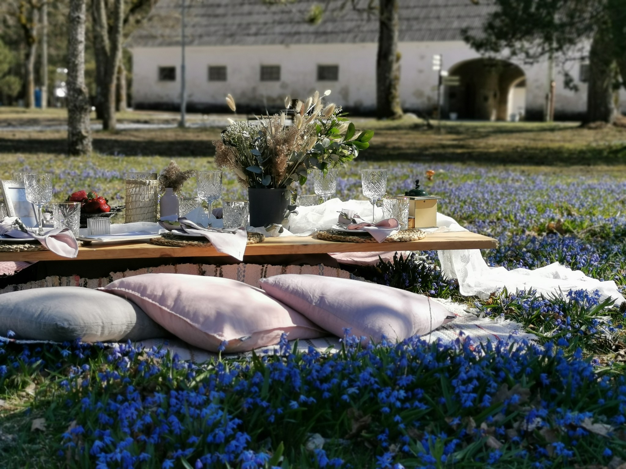 Elamuspiknik kevadel Padise Kastelli juures