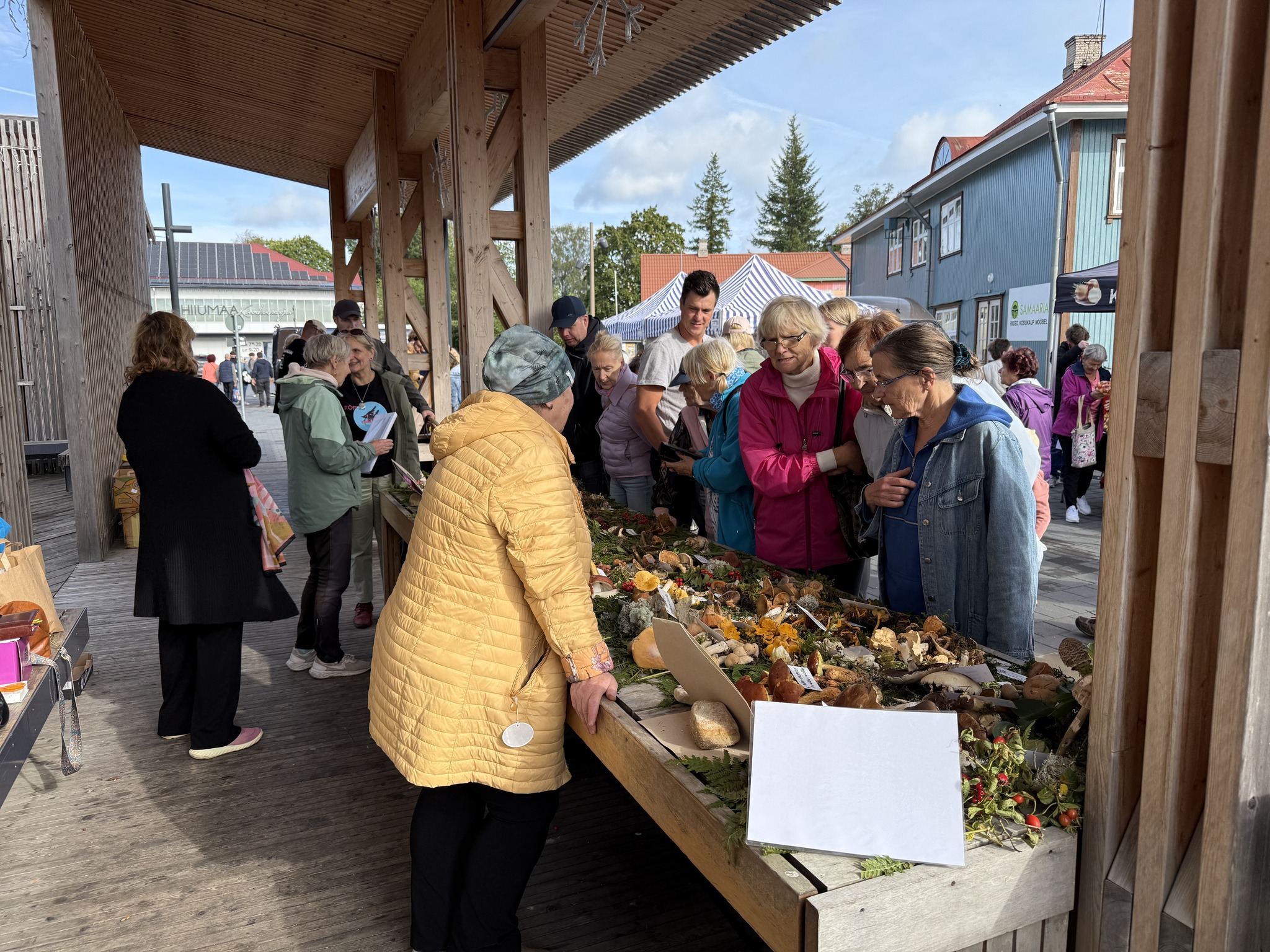 Hiidlaste sügislaat