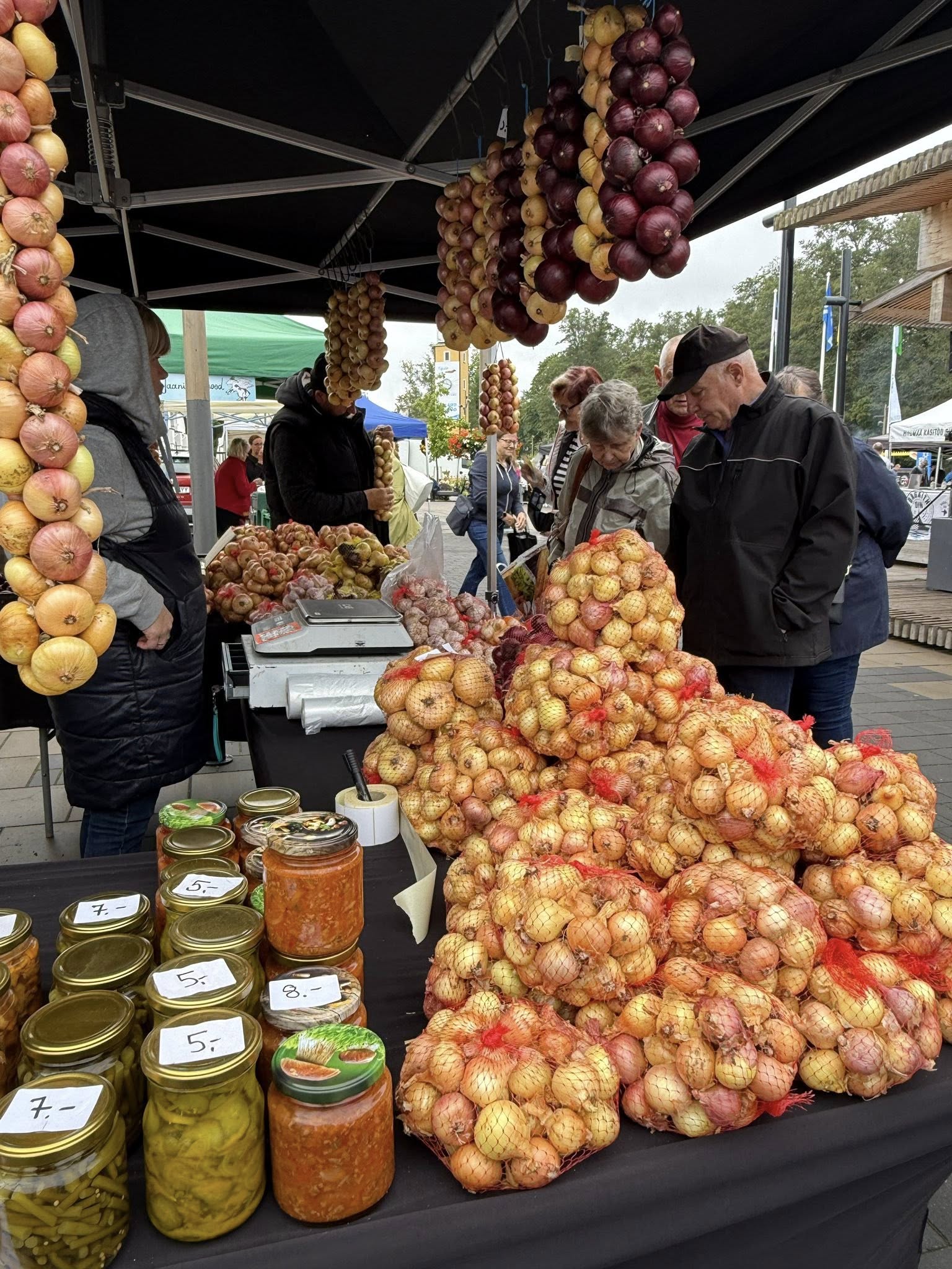 Hiidlaste sügislaat