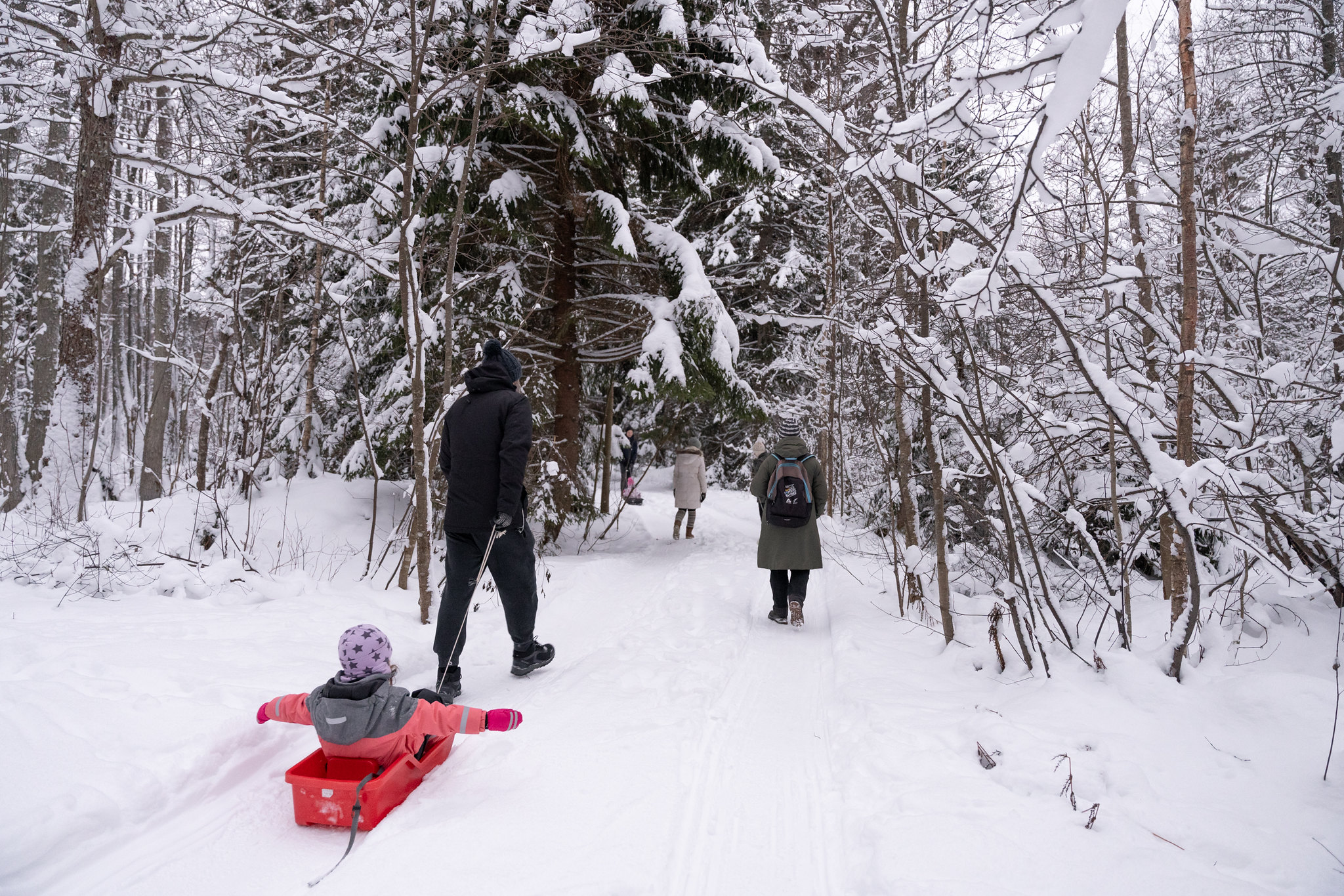 Tõrvanina study trail