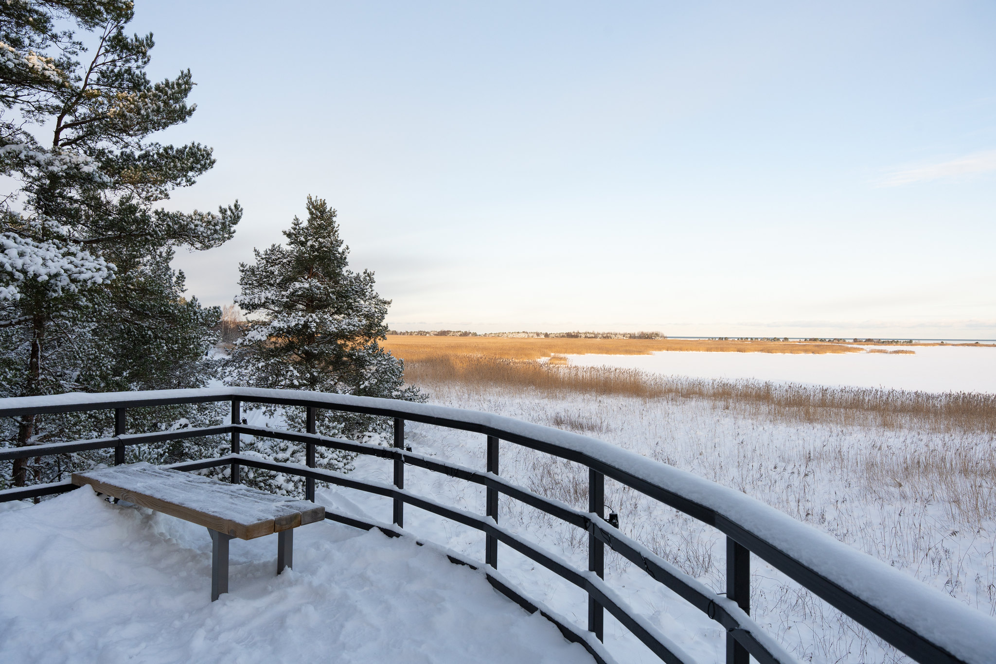 Tõrvanina study trail