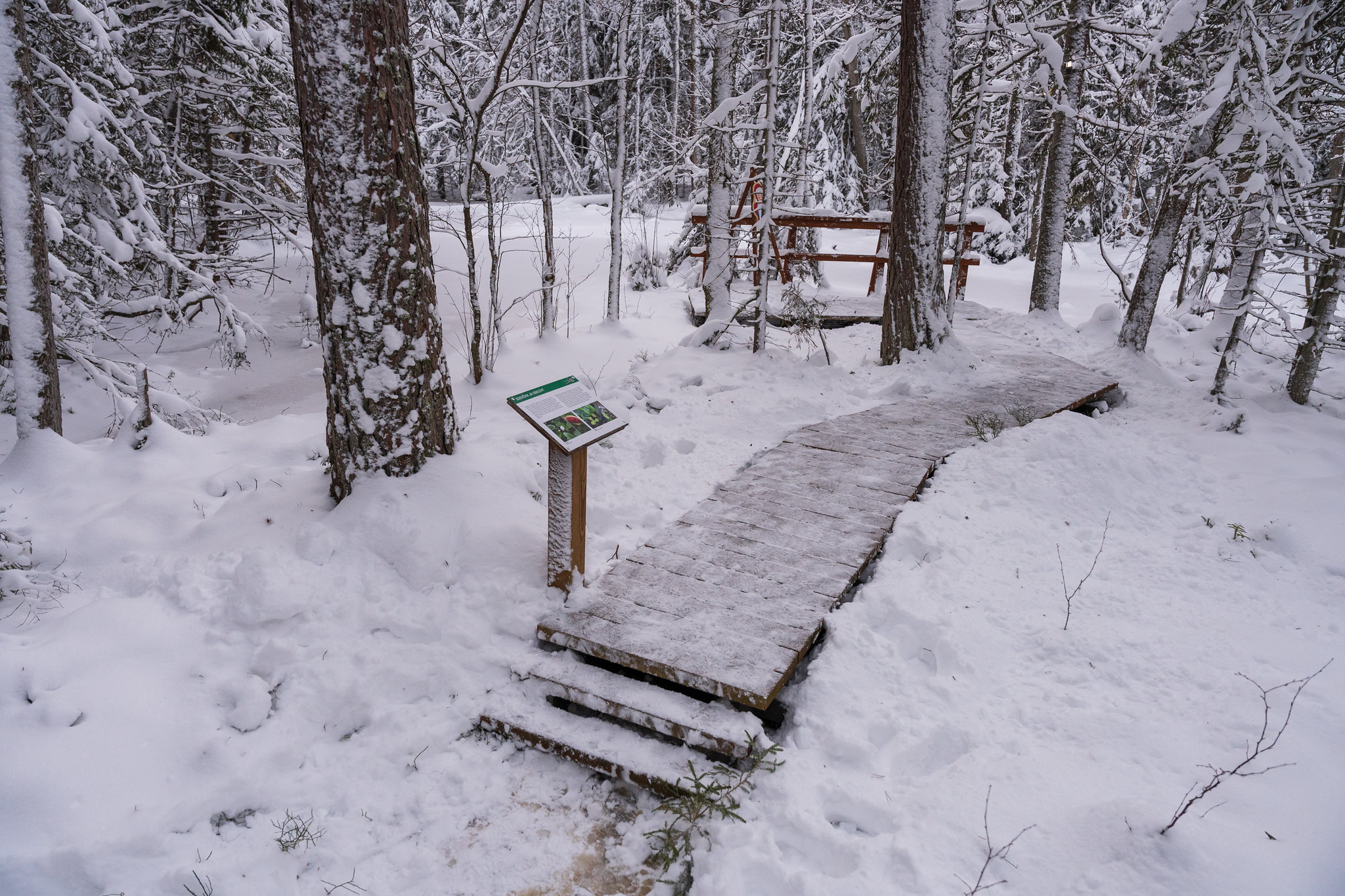 Tõrvanina study trail