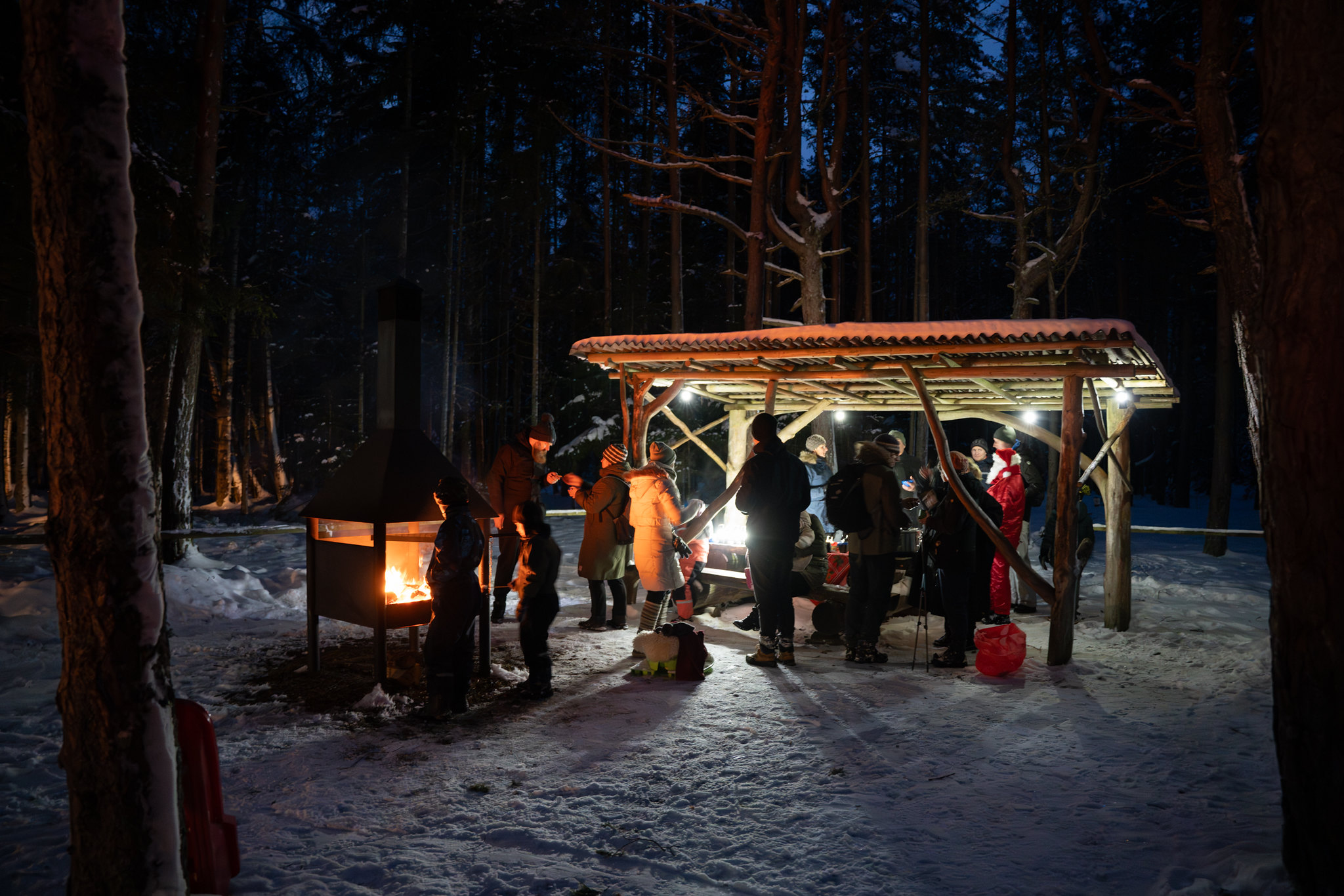 Tõrvanina telkimisala