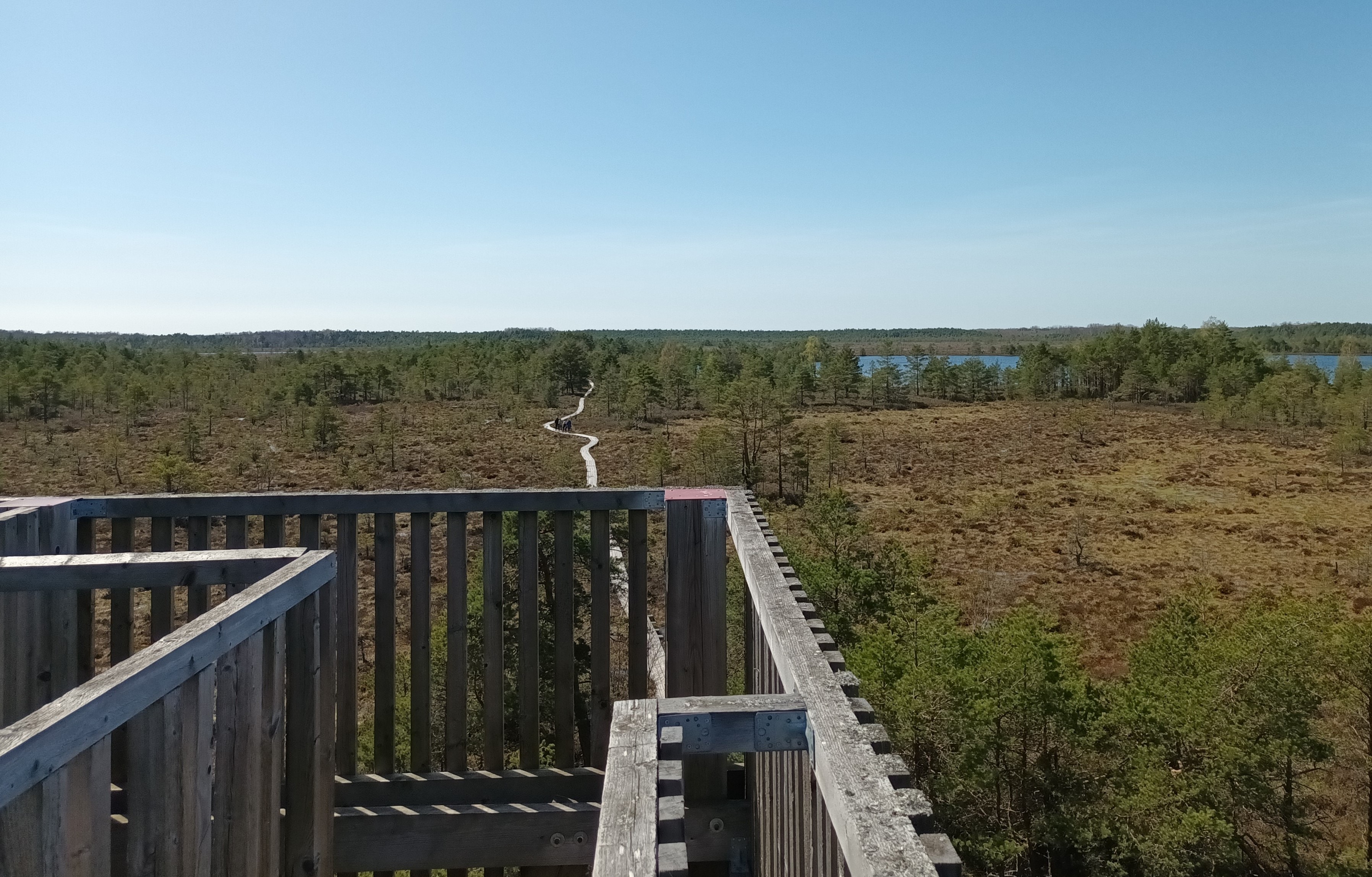 Vaade Koigi raba tornist