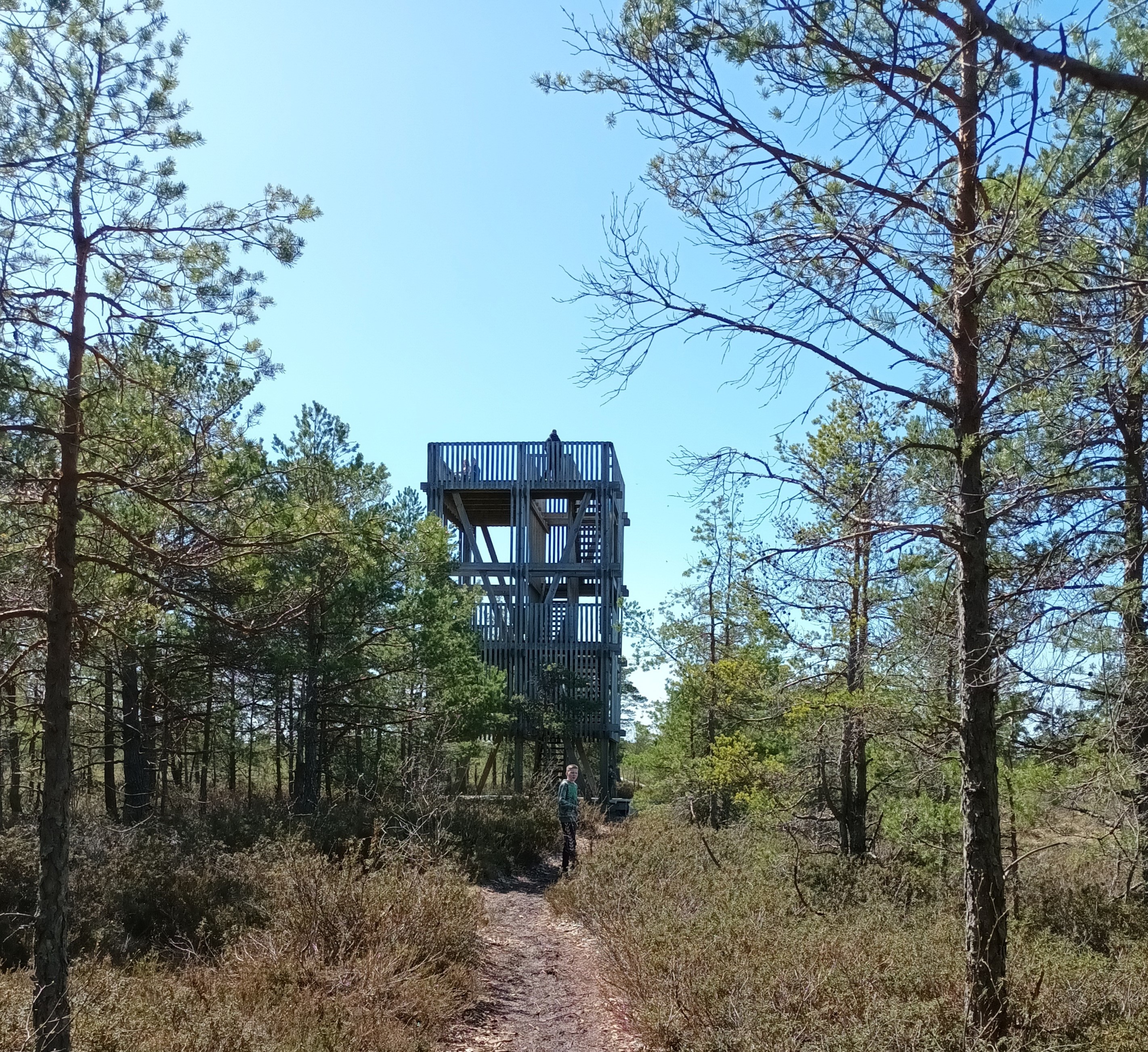 Koigi raba vaatetorn