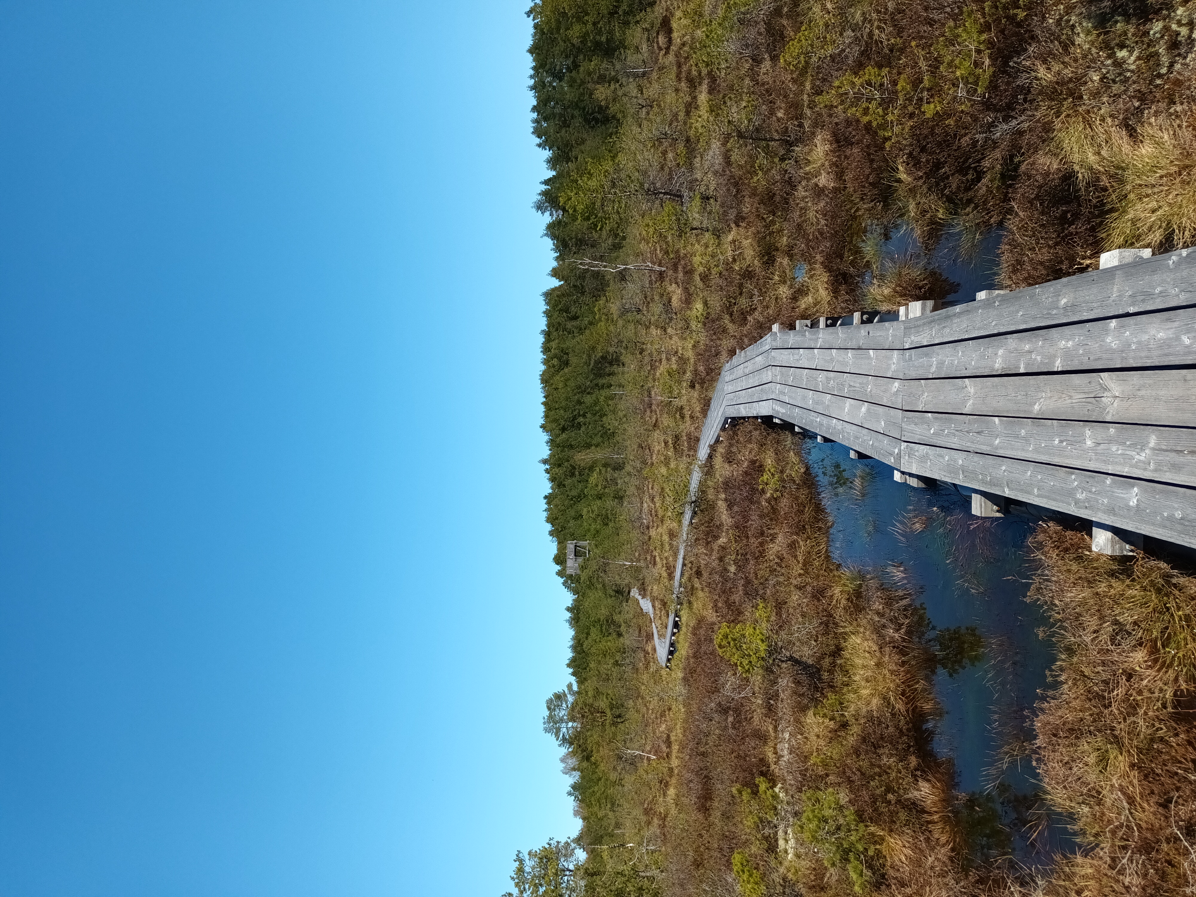 Koigi õpperada Saaremaal