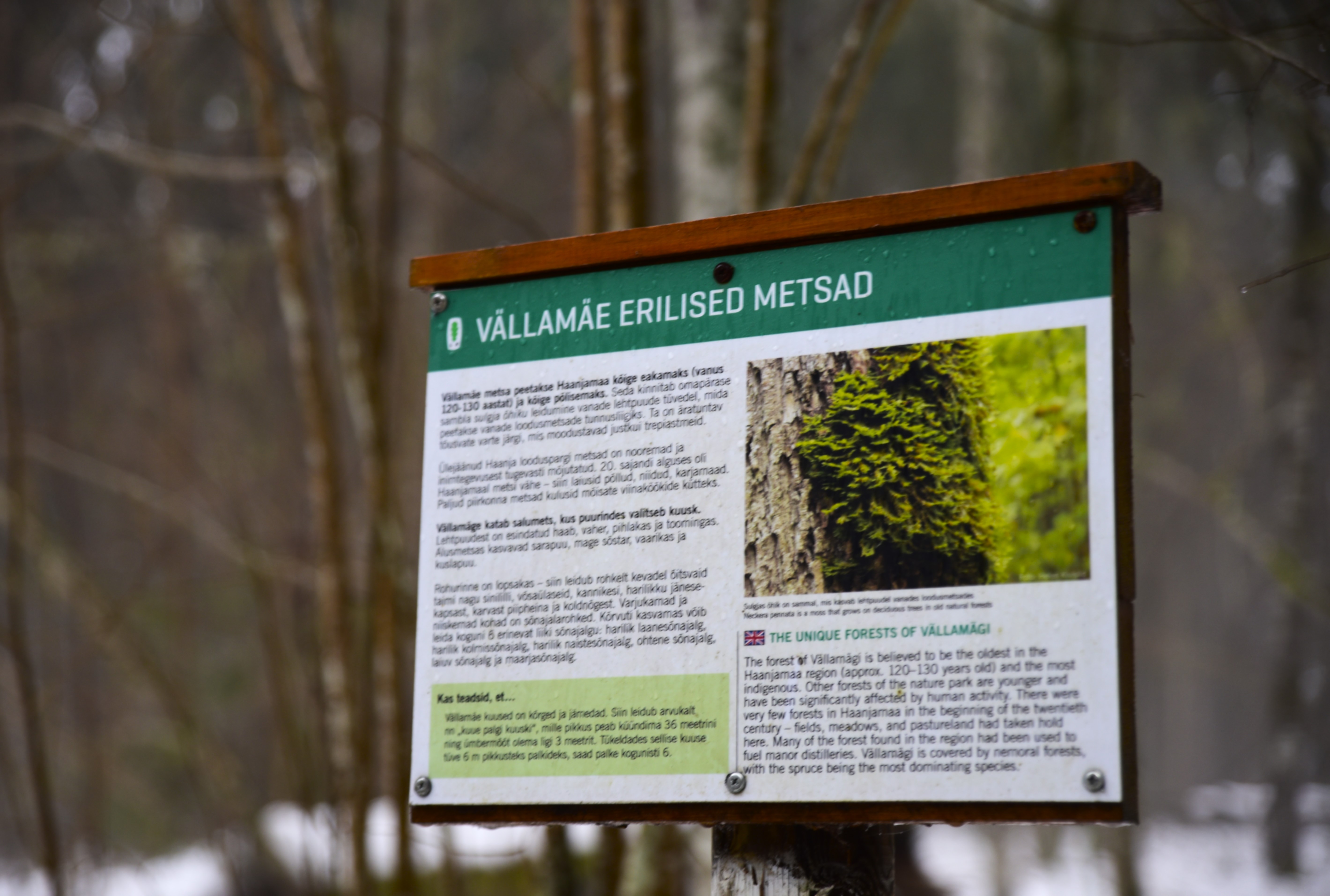 Vällamäe hiking trail, infostand