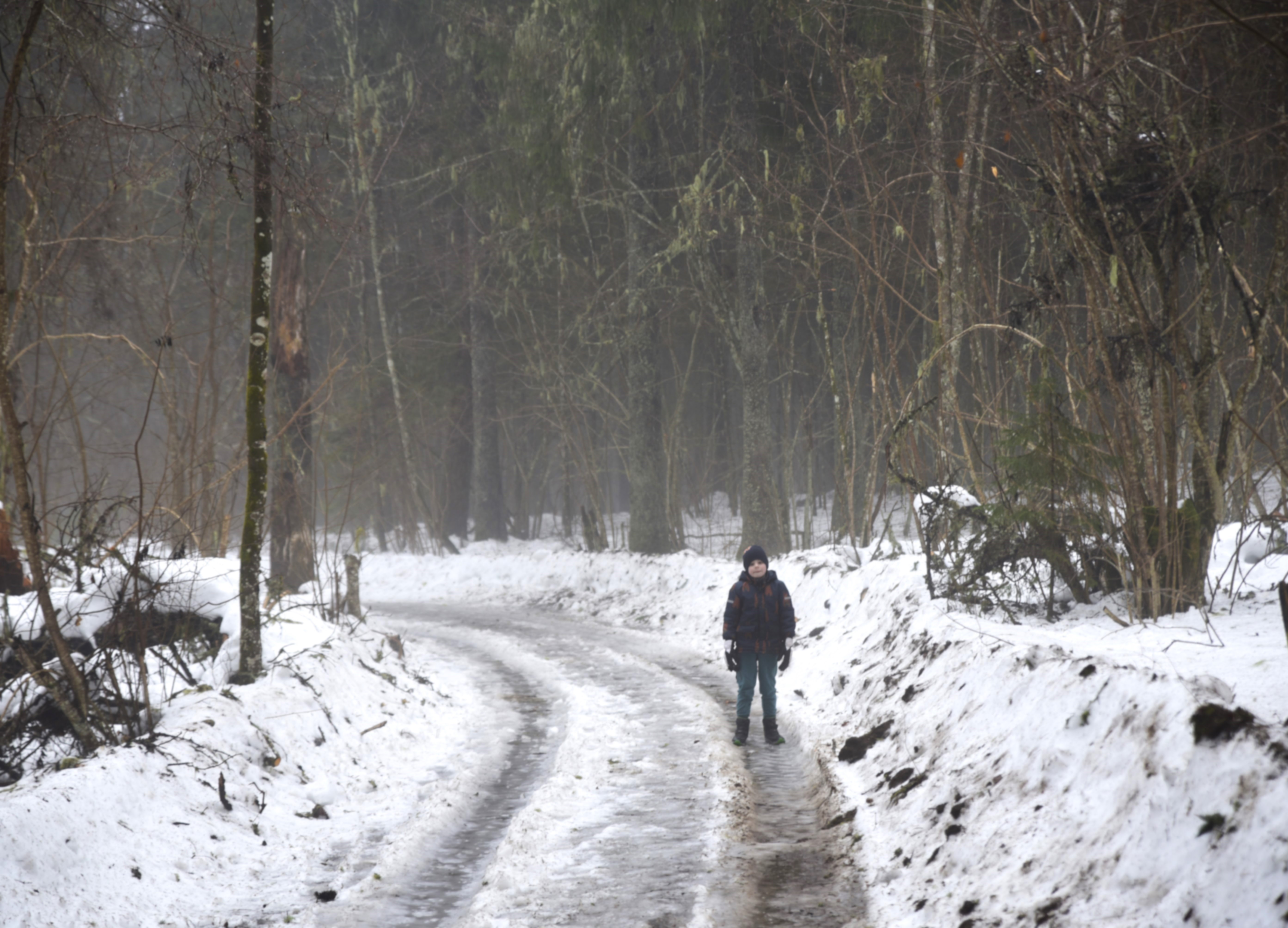 Vällamäe hiking trail in winter
