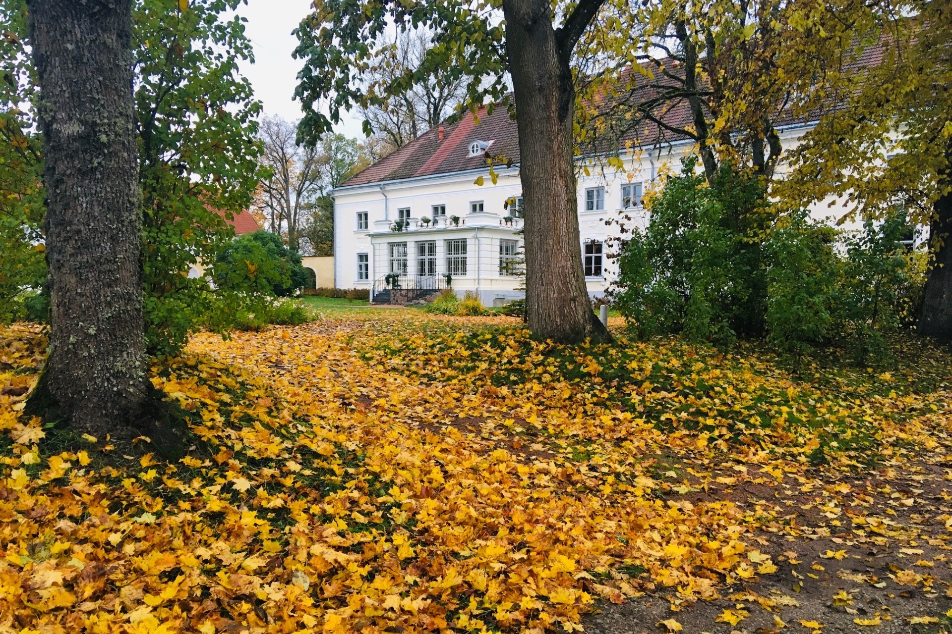 Anija mõis sügisel