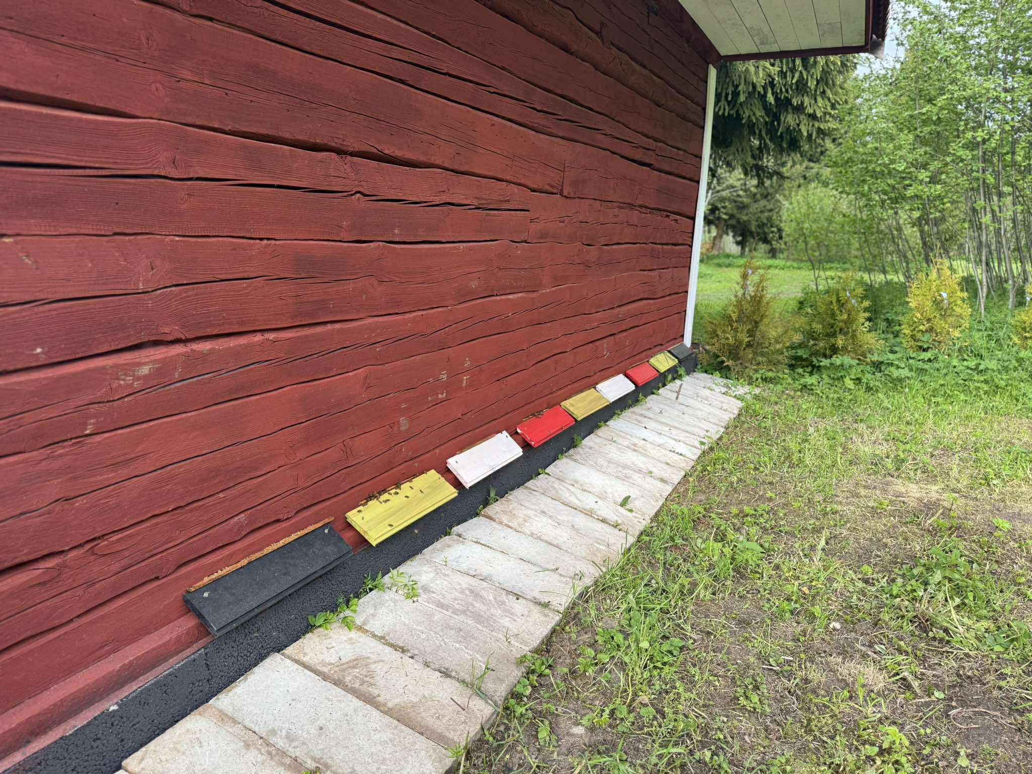 Mesitarud ja looduslähedane elu