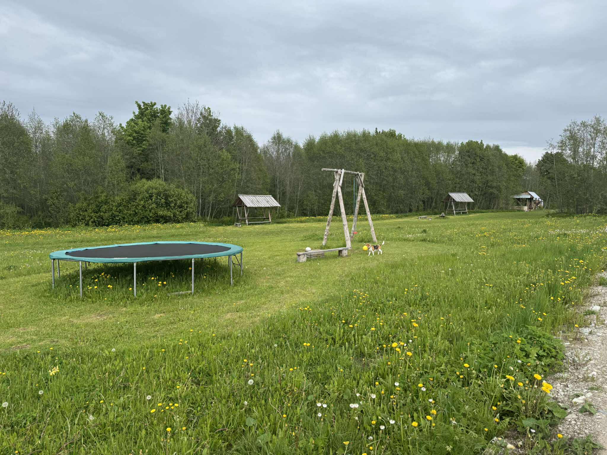 Suur muruplats ja lõkkekohad