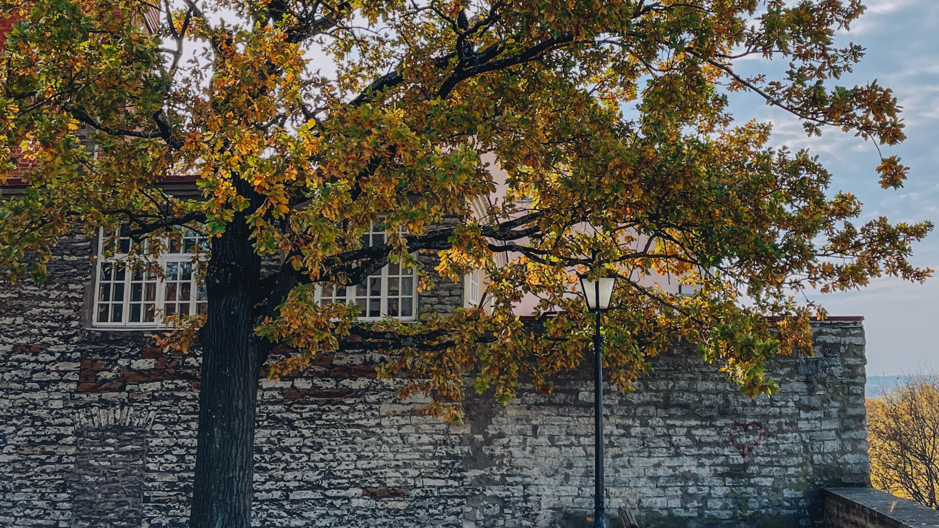 Piiskopi vaateplatvorm Tallinnas