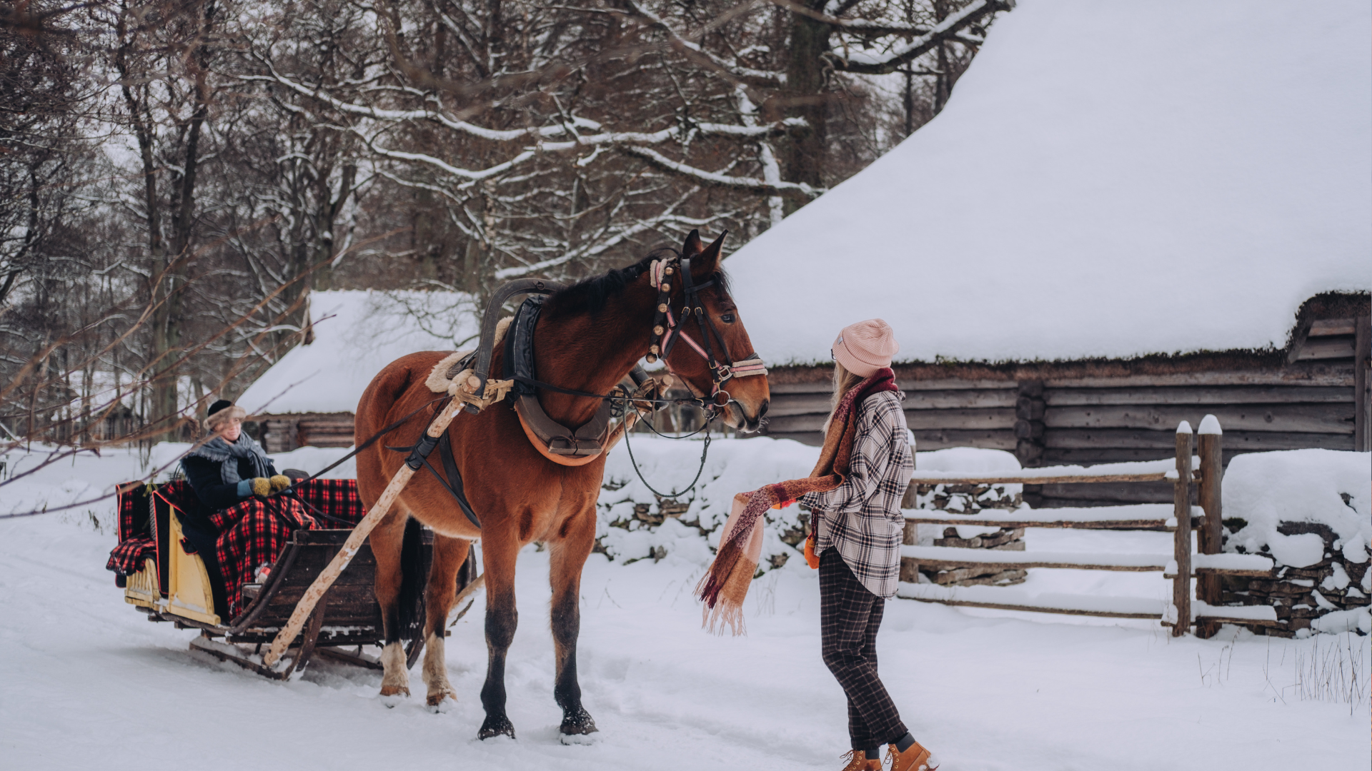 Talvine vabaõhumuuseum