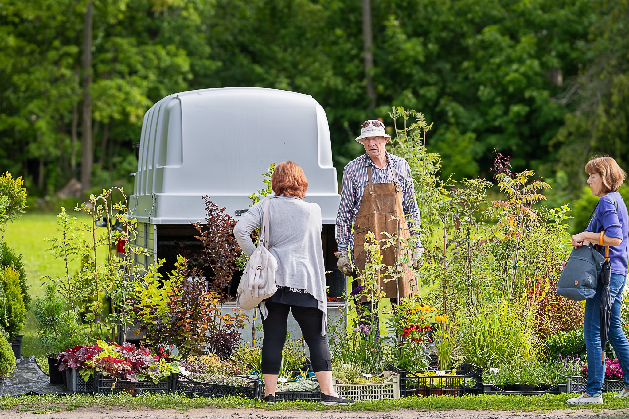 Hiiumaa kila-kola laat
