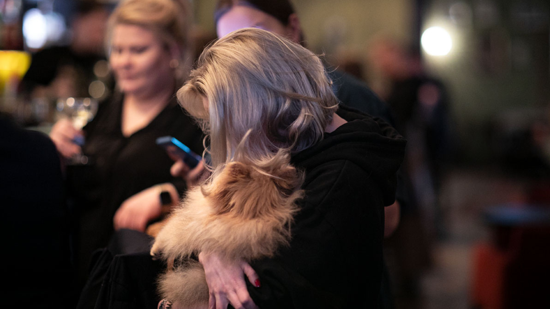 Hund in der Sigmund Freud Bar