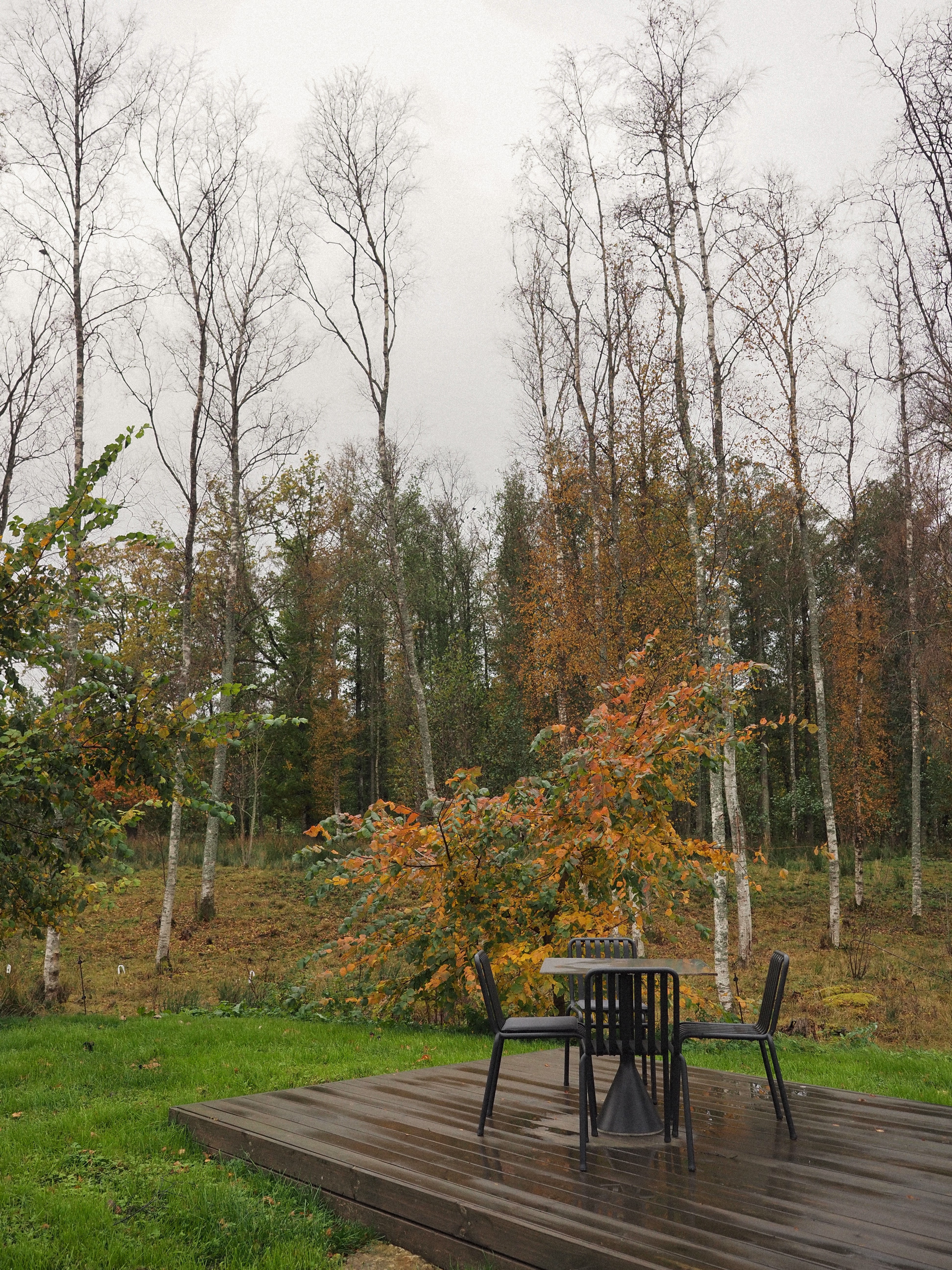 Taju Journey Autumn Picnic at Udumägi