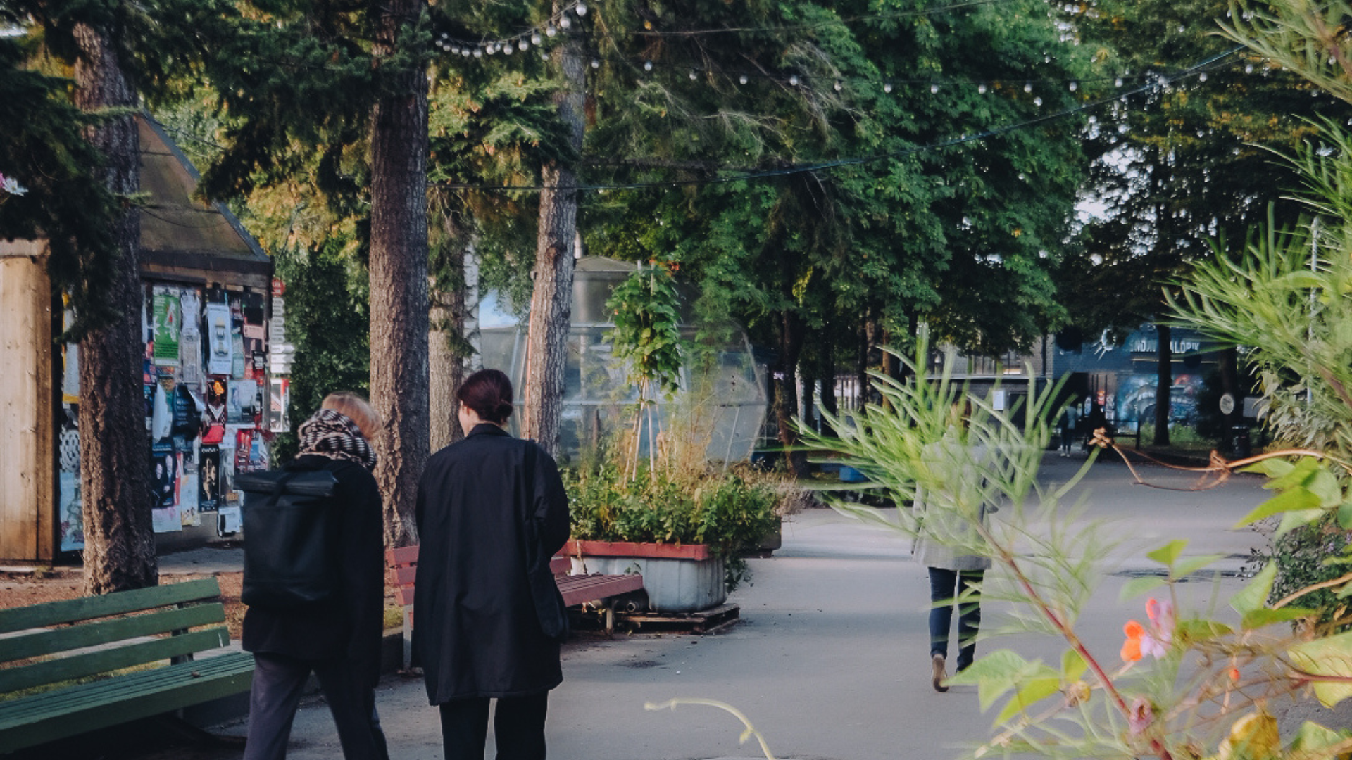 Telliski Loomelinnaku linnaloodus