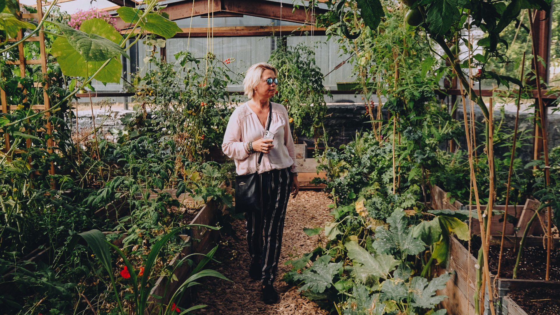 Kasvuhoone koos taimedega