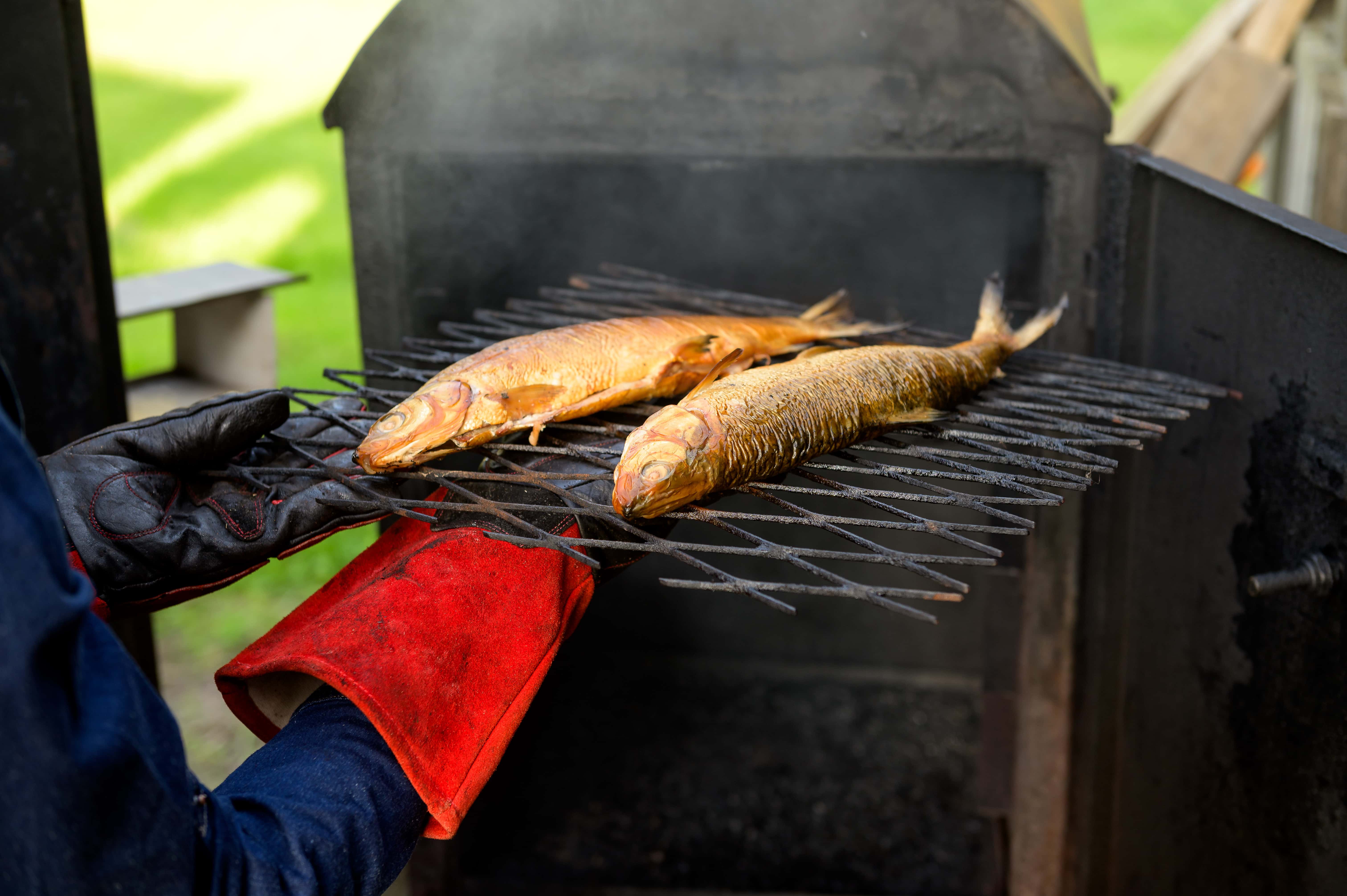 Suitsukala otse ahjust